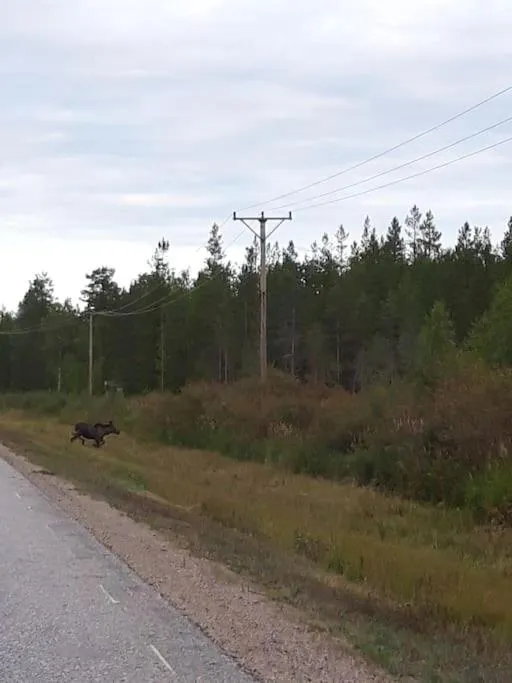 Natural landscape in The Old Post Office
