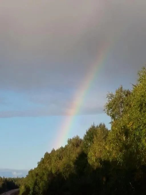 Natural landscape in The Old Post Office