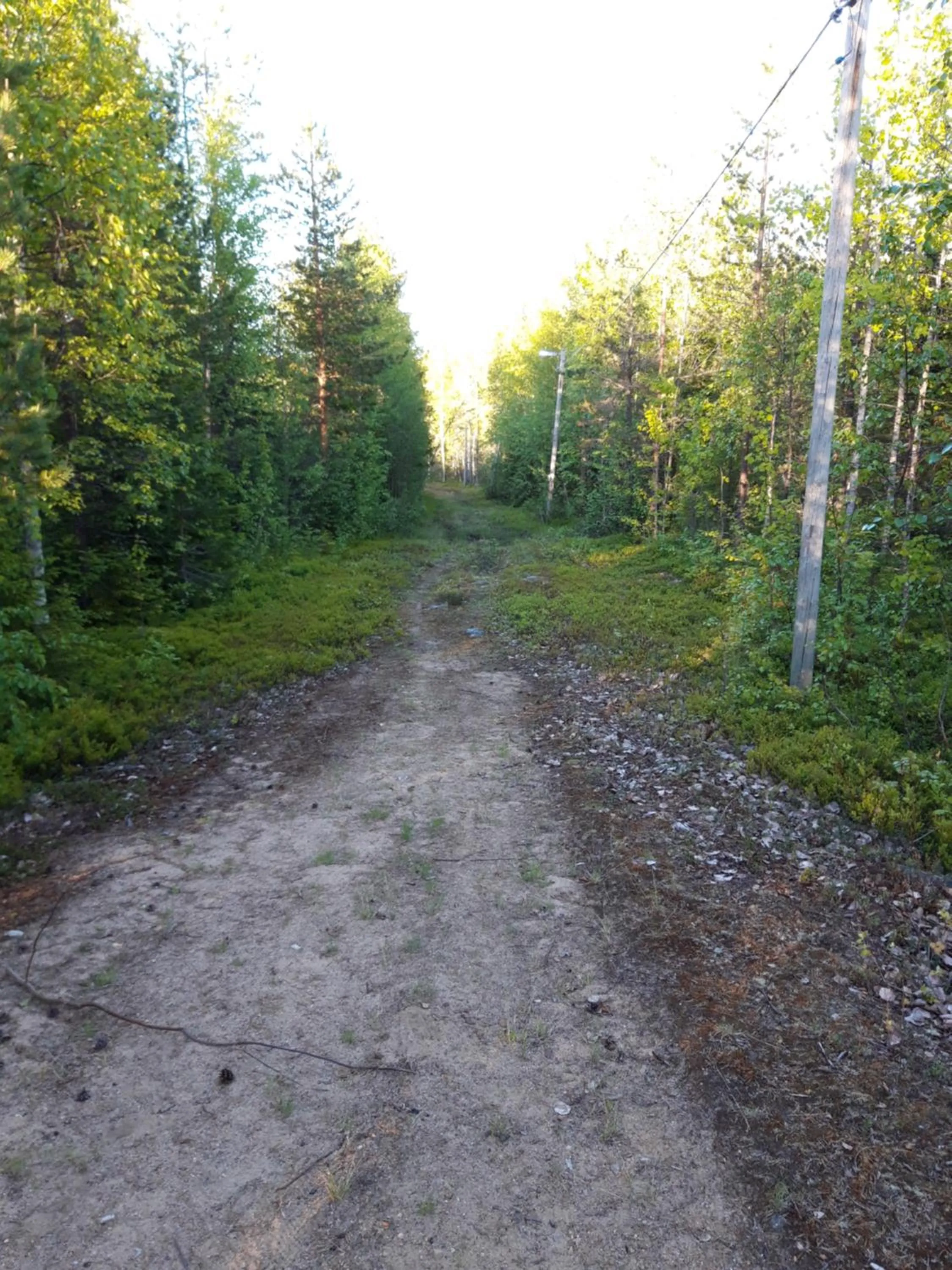Activities in The Old Post Office