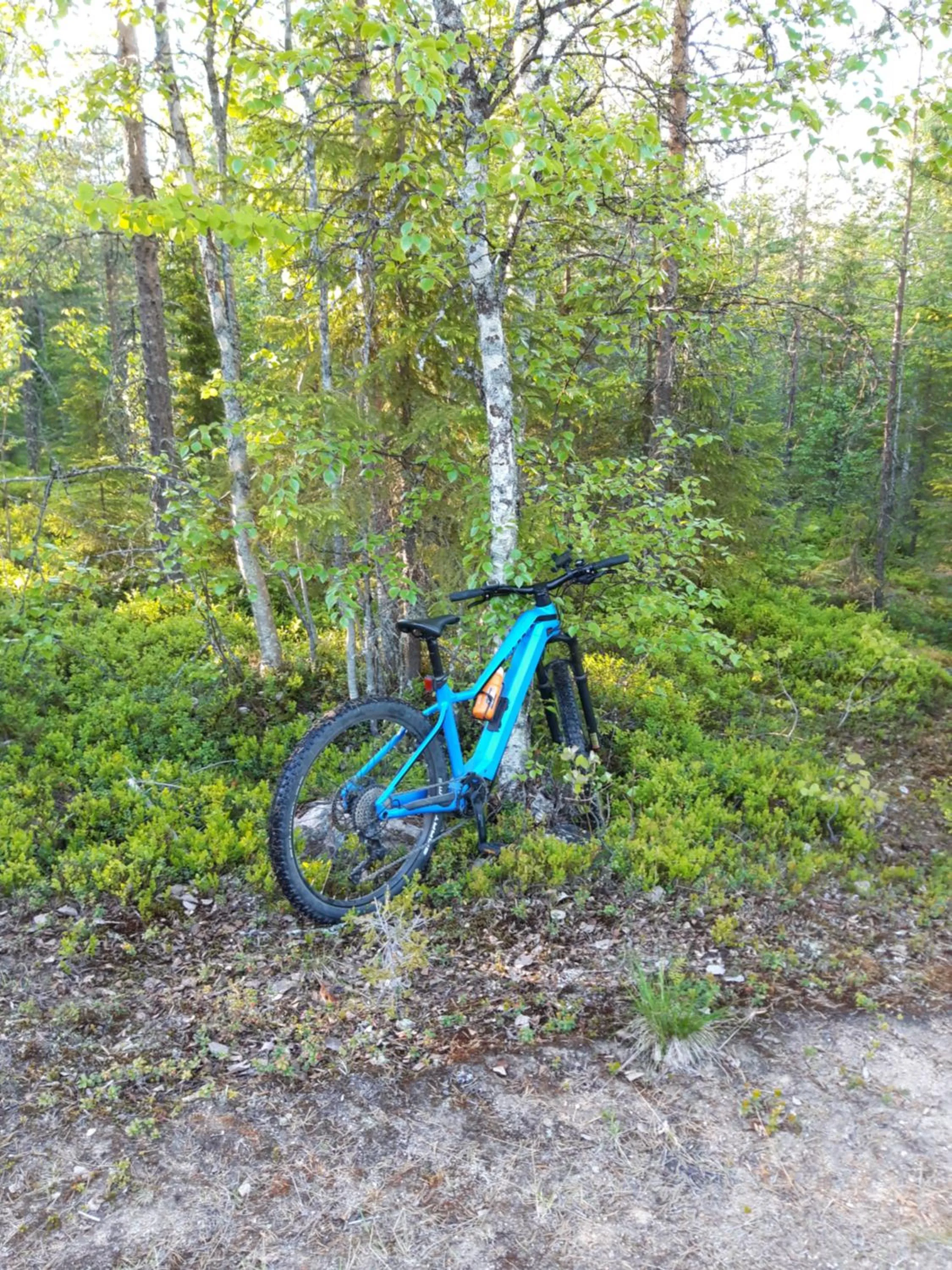 Activities in The Old Post Office