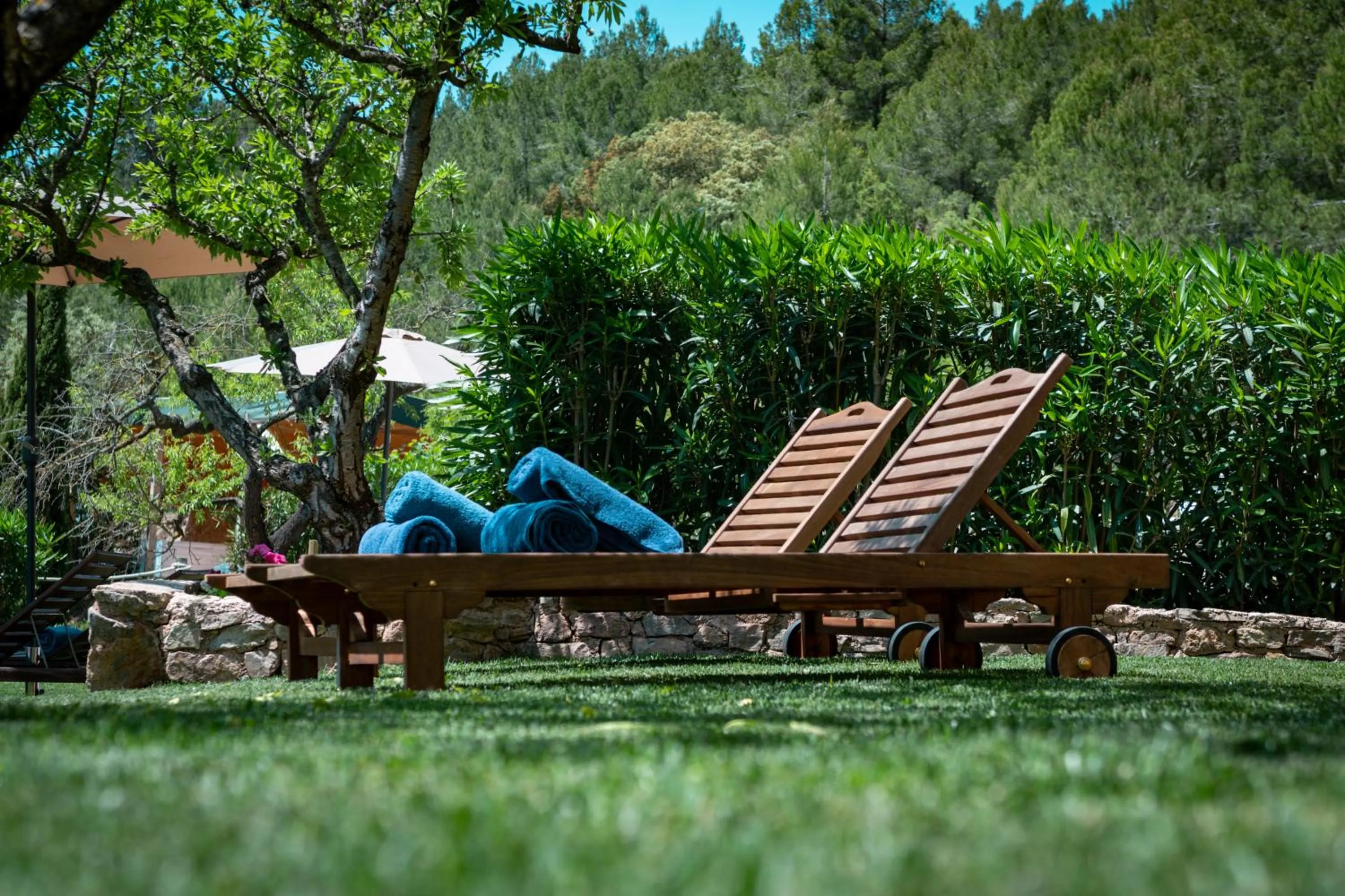 Garden in Hotel Mas Mariassa