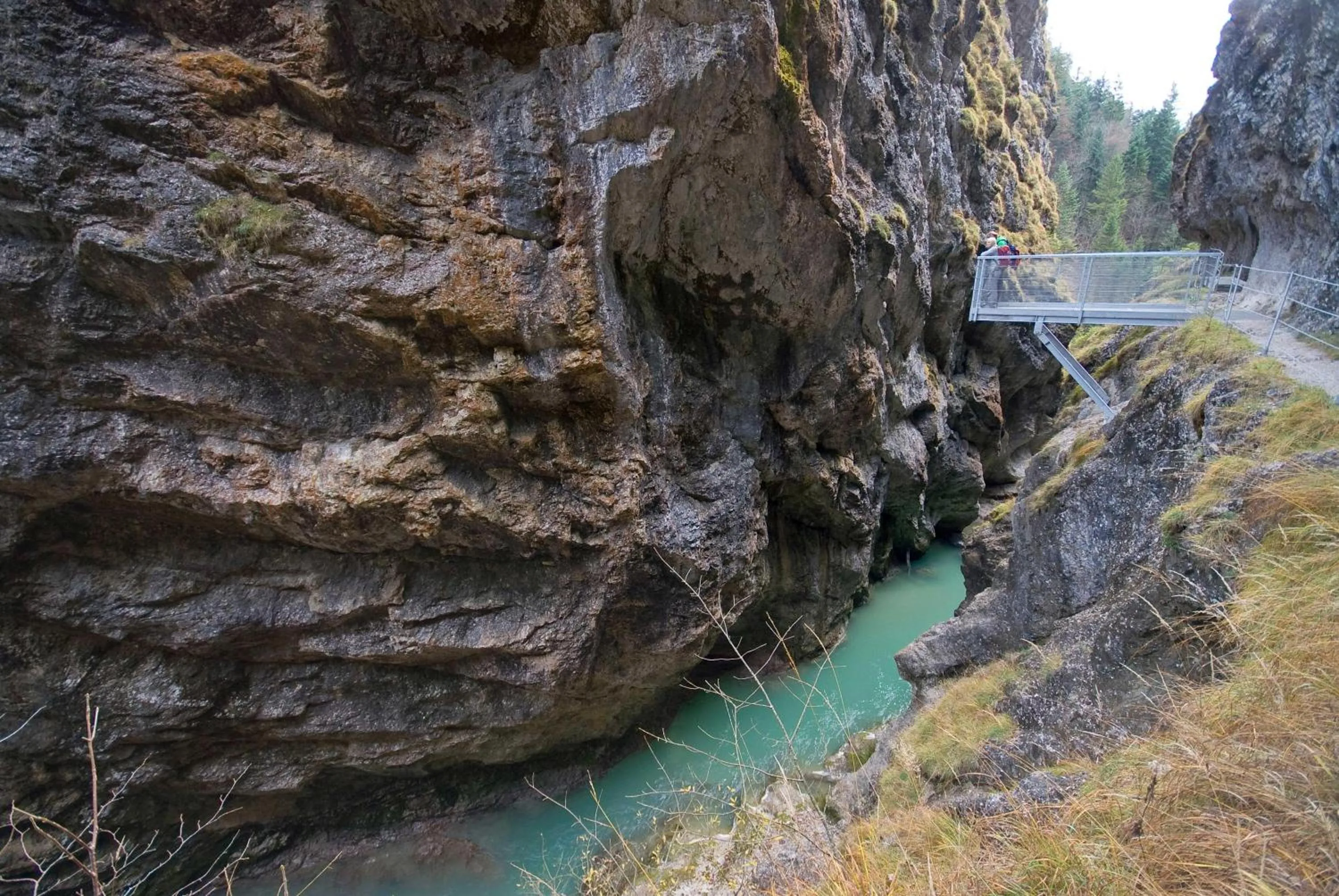 Natural landscape in Gruberhof