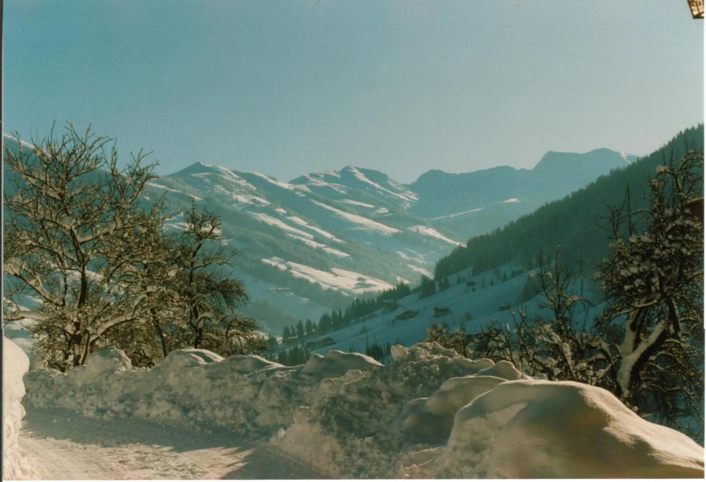 Natural landscape in Gruberhof