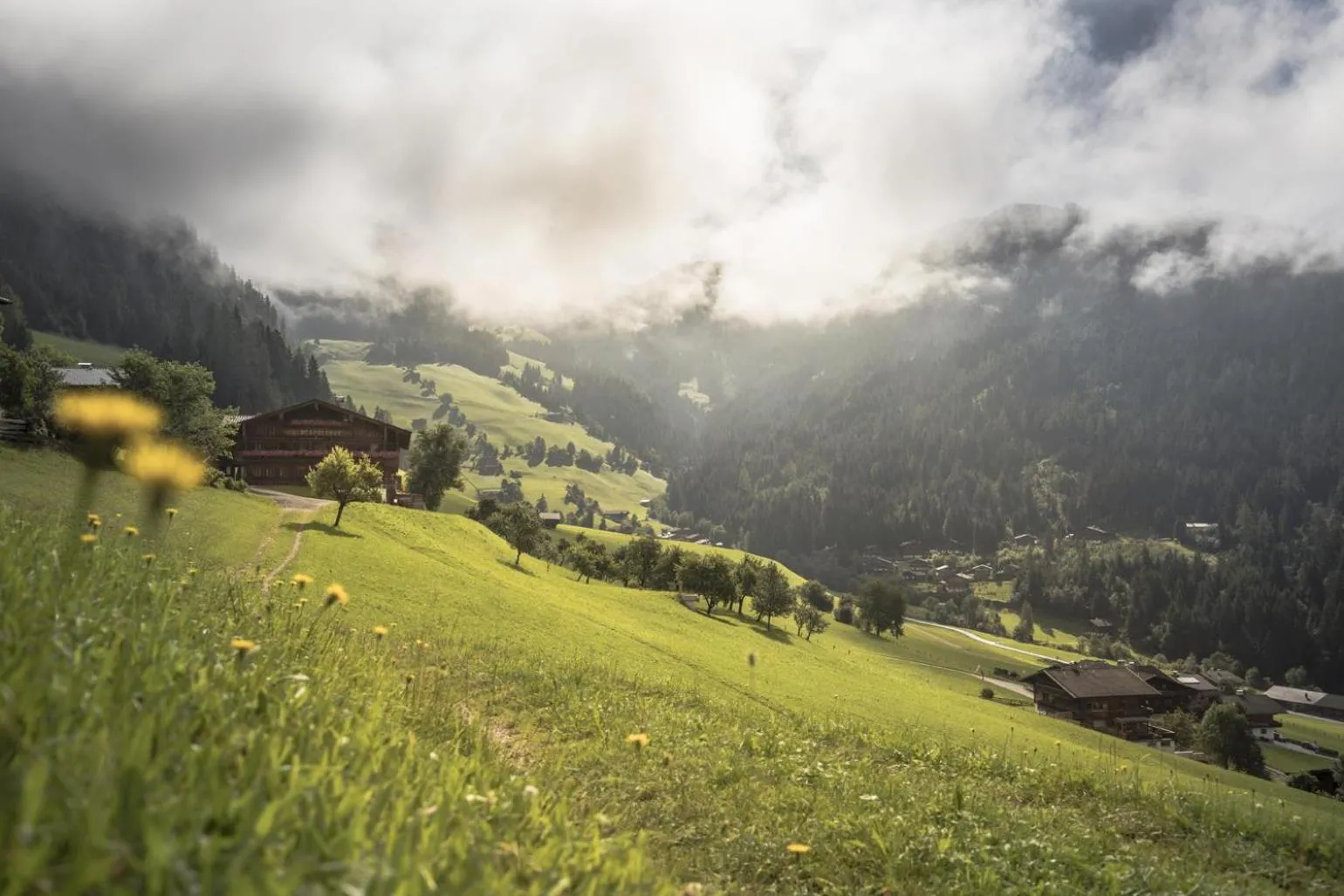 Natural landscape in Gruberhof