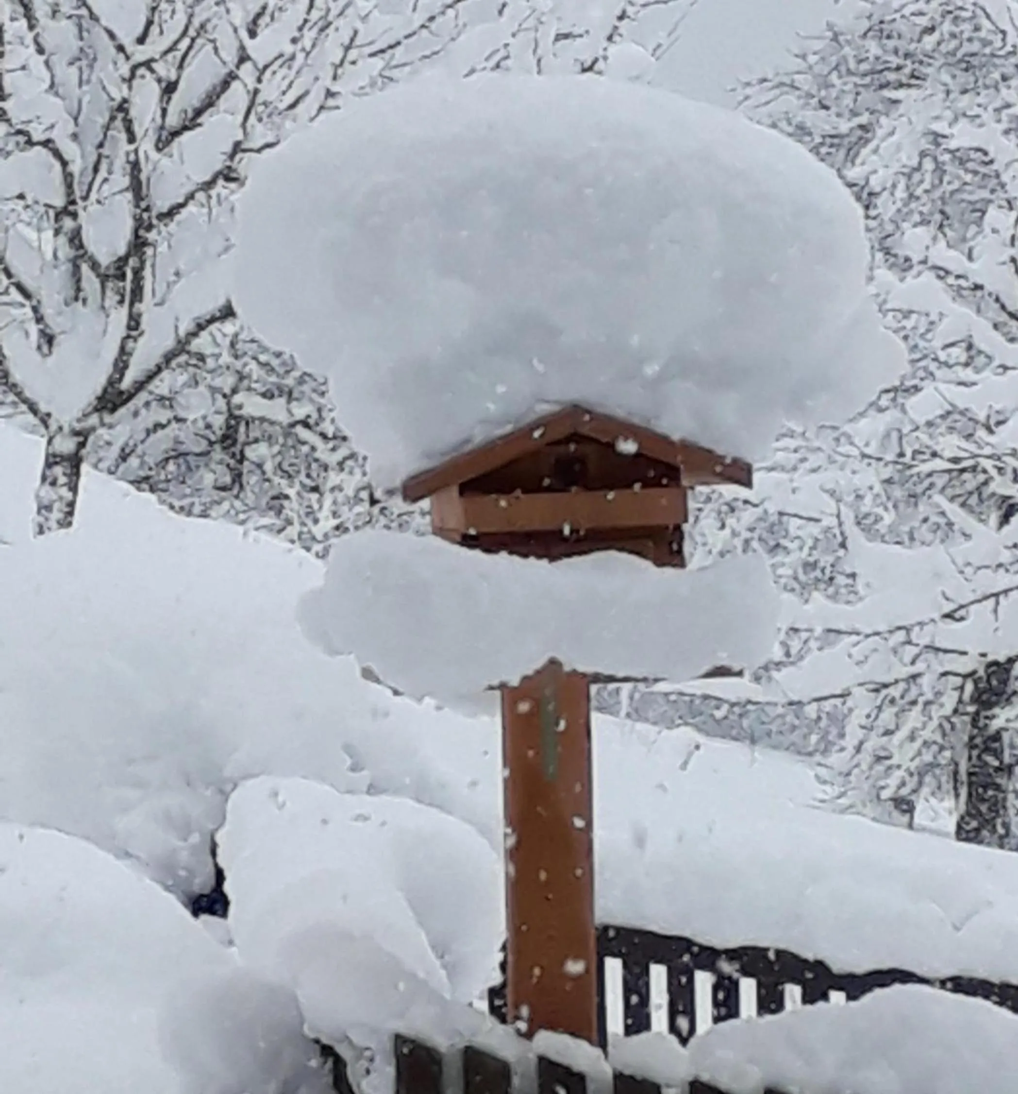 Winter in Gruberhof