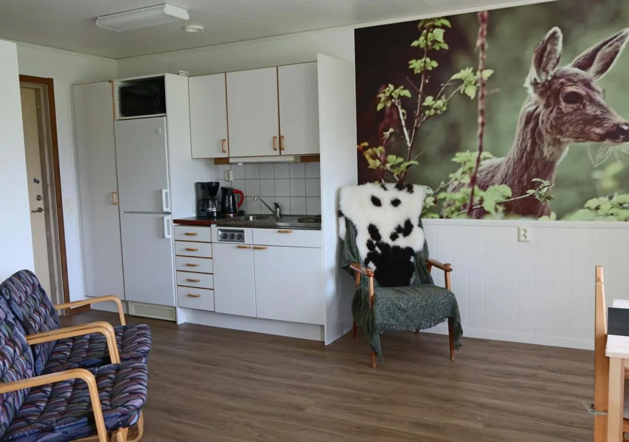 Kitchen or kitchenette in HusHotellHunge AB