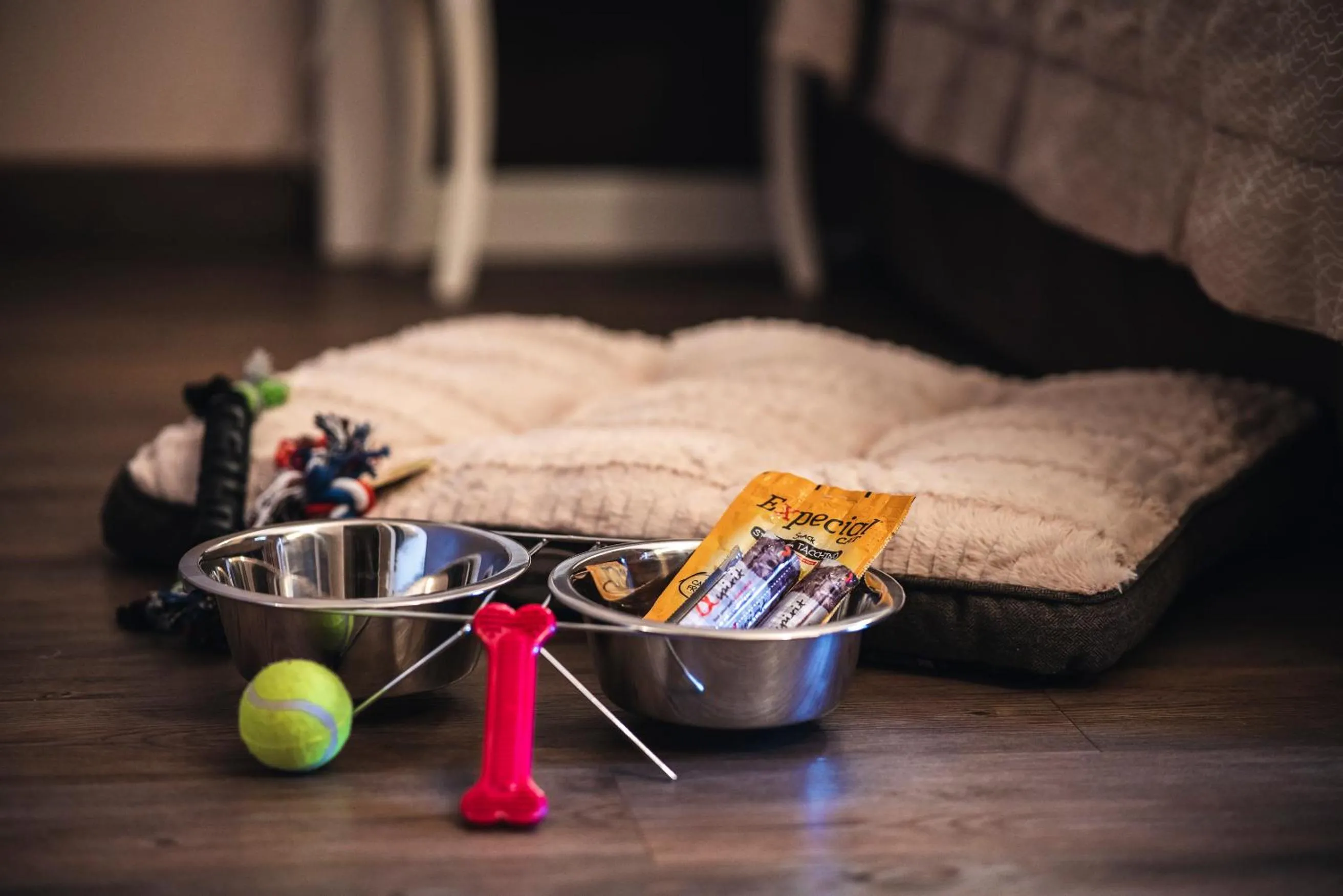 Pets in Bonotto Hotel Belvedere