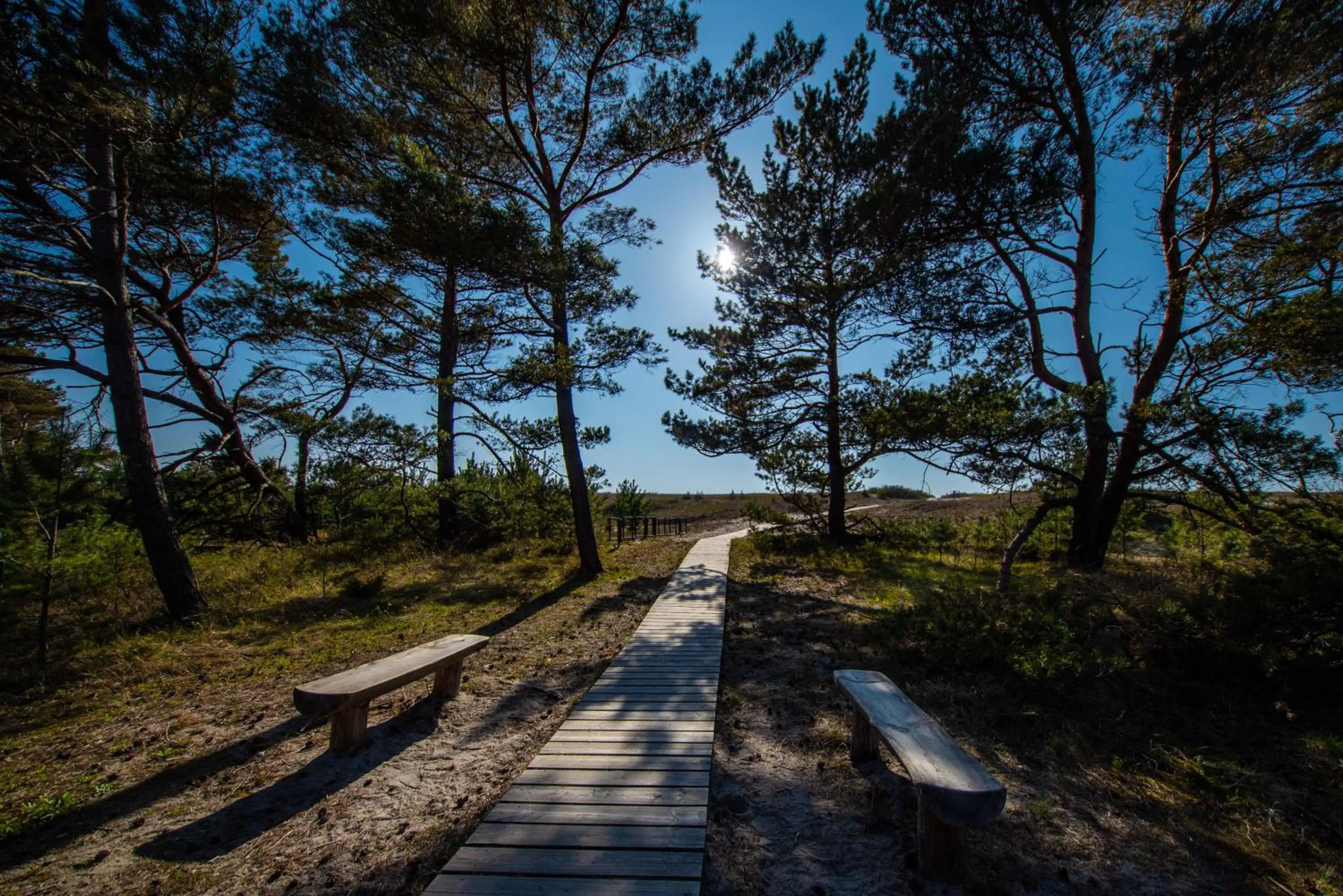 Natural landscape in COME2rest - Smilga