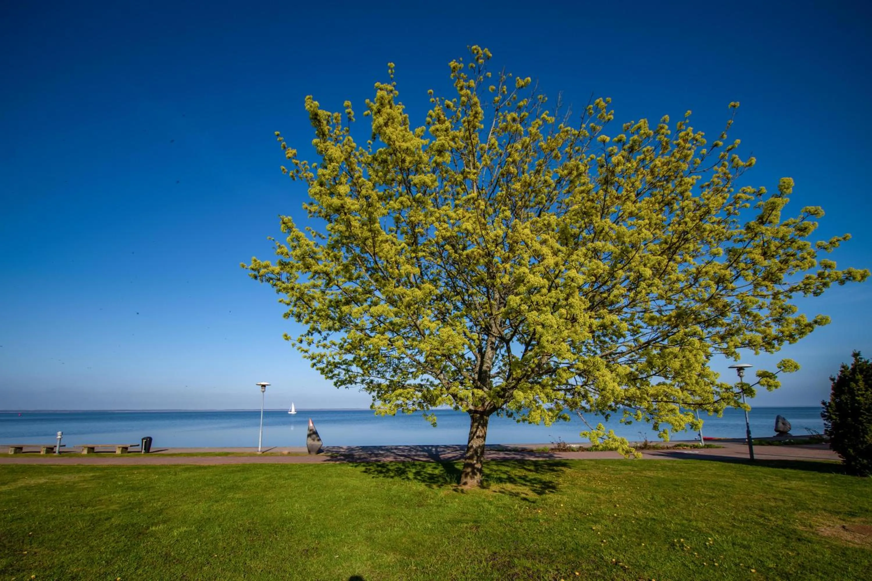 Natural landscape in COME2rest - Smilga
