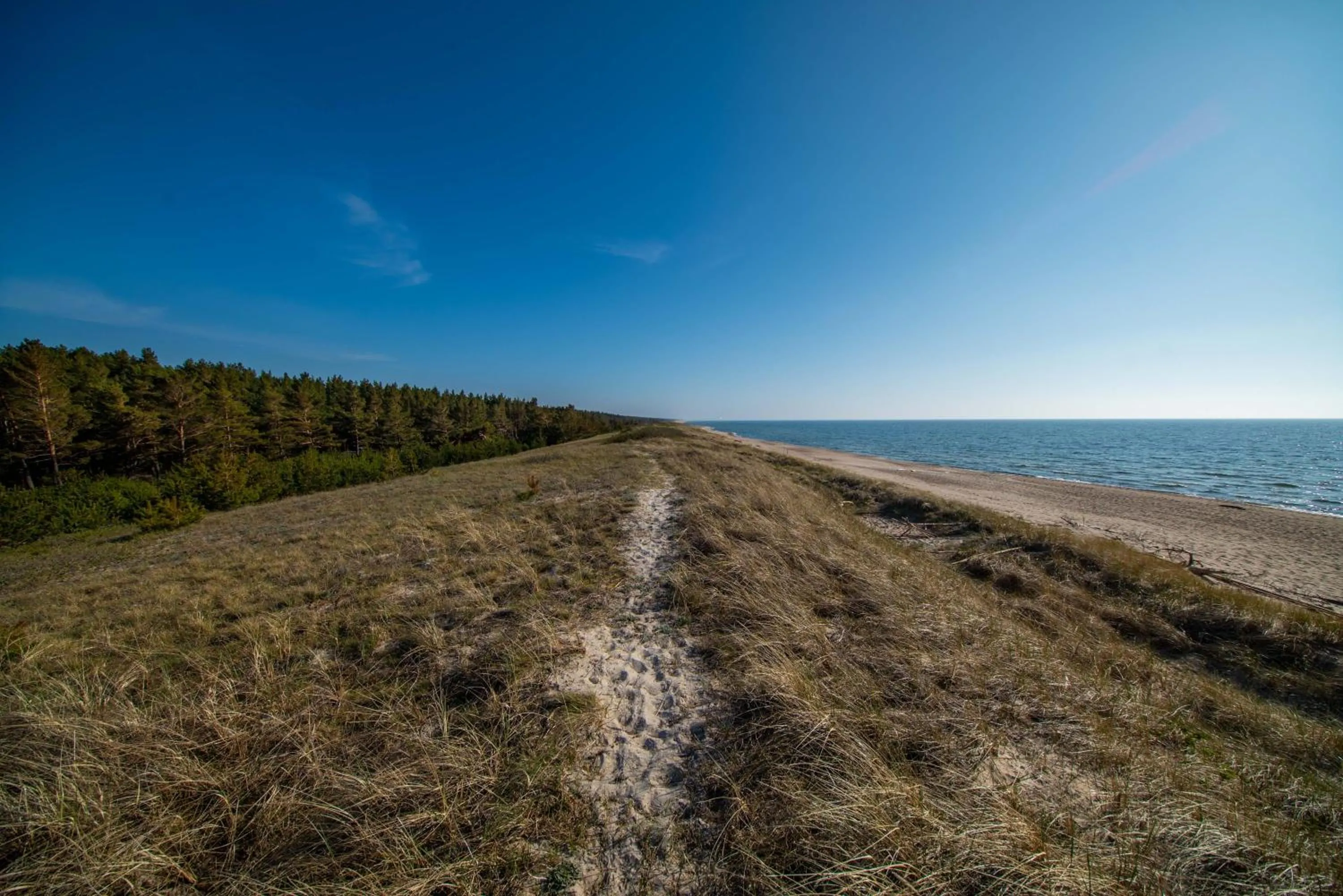Natural landscape in COME2rest - Smilga