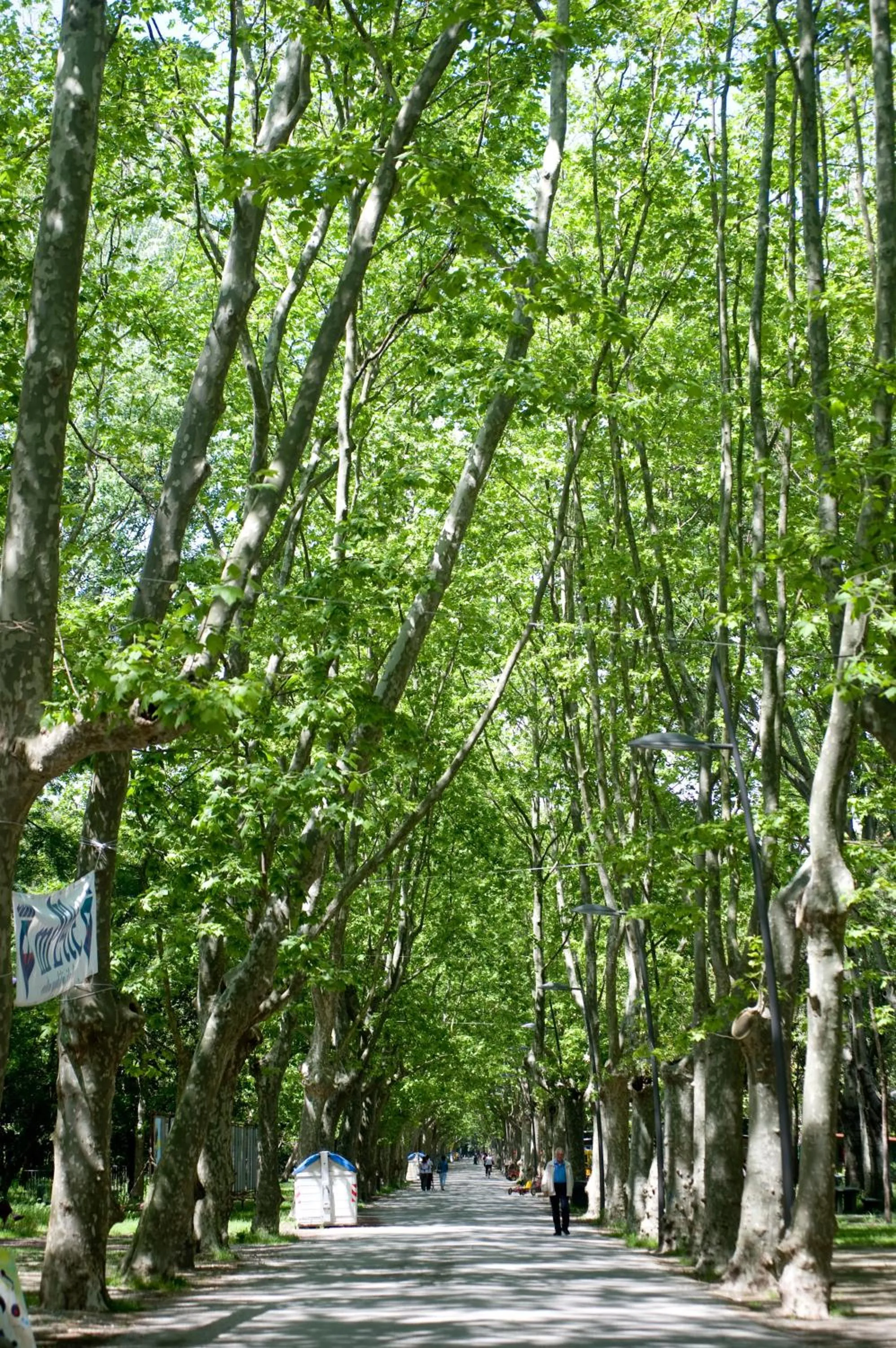 Other in Hotel Vittoria