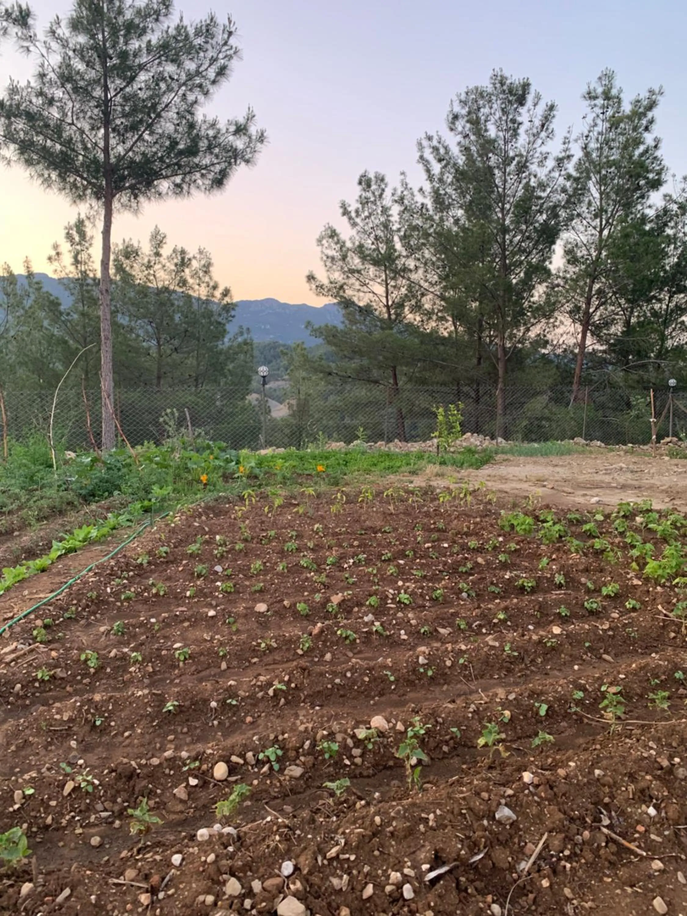 Natural landscape in Maison Green Hill Hobbit Villas & Boutique Hotel