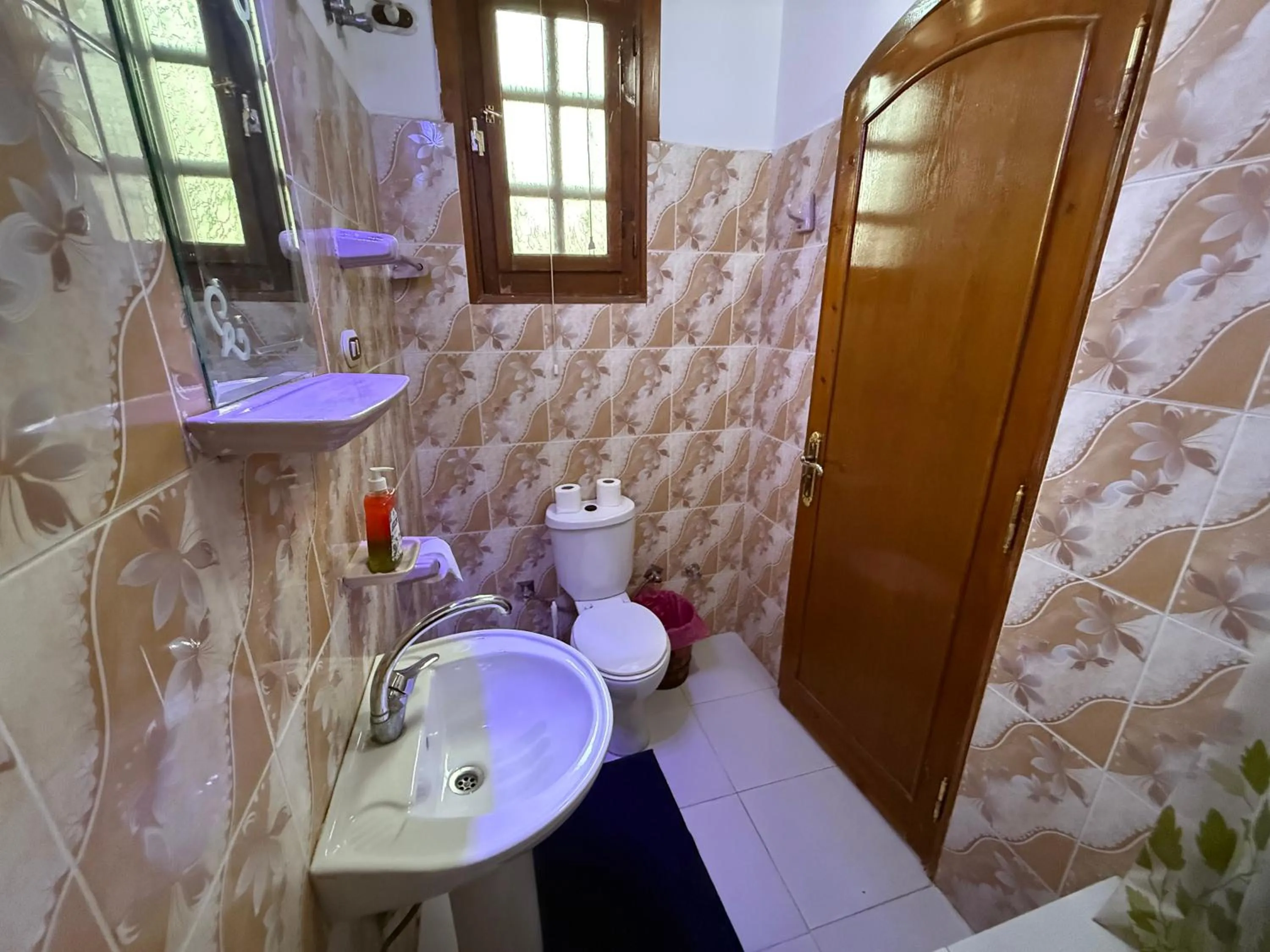 Toilet in Luxor Villa Hatshepsut