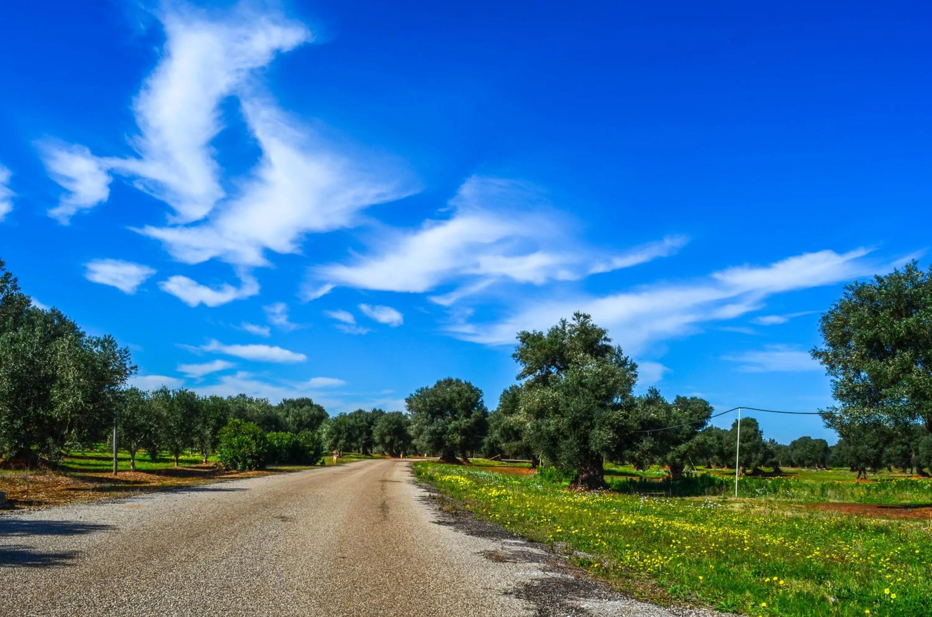 Natural landscape in Hotel Masseria Tutosa