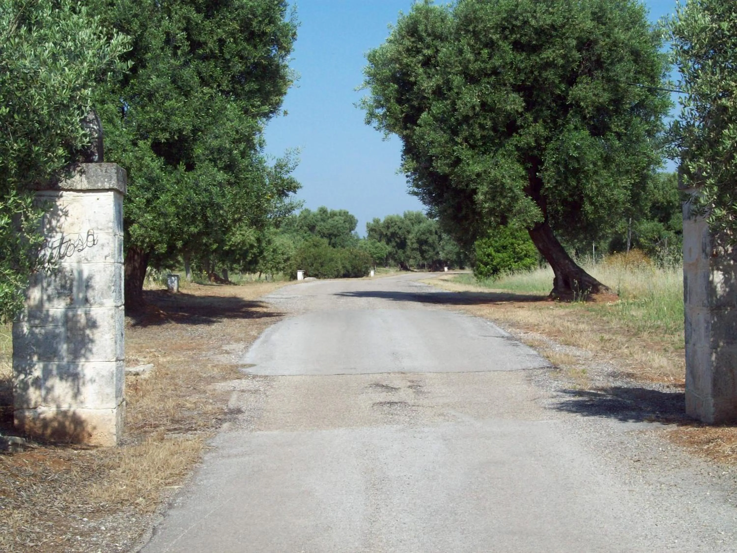 Street view in Hotel Masseria Tutosa