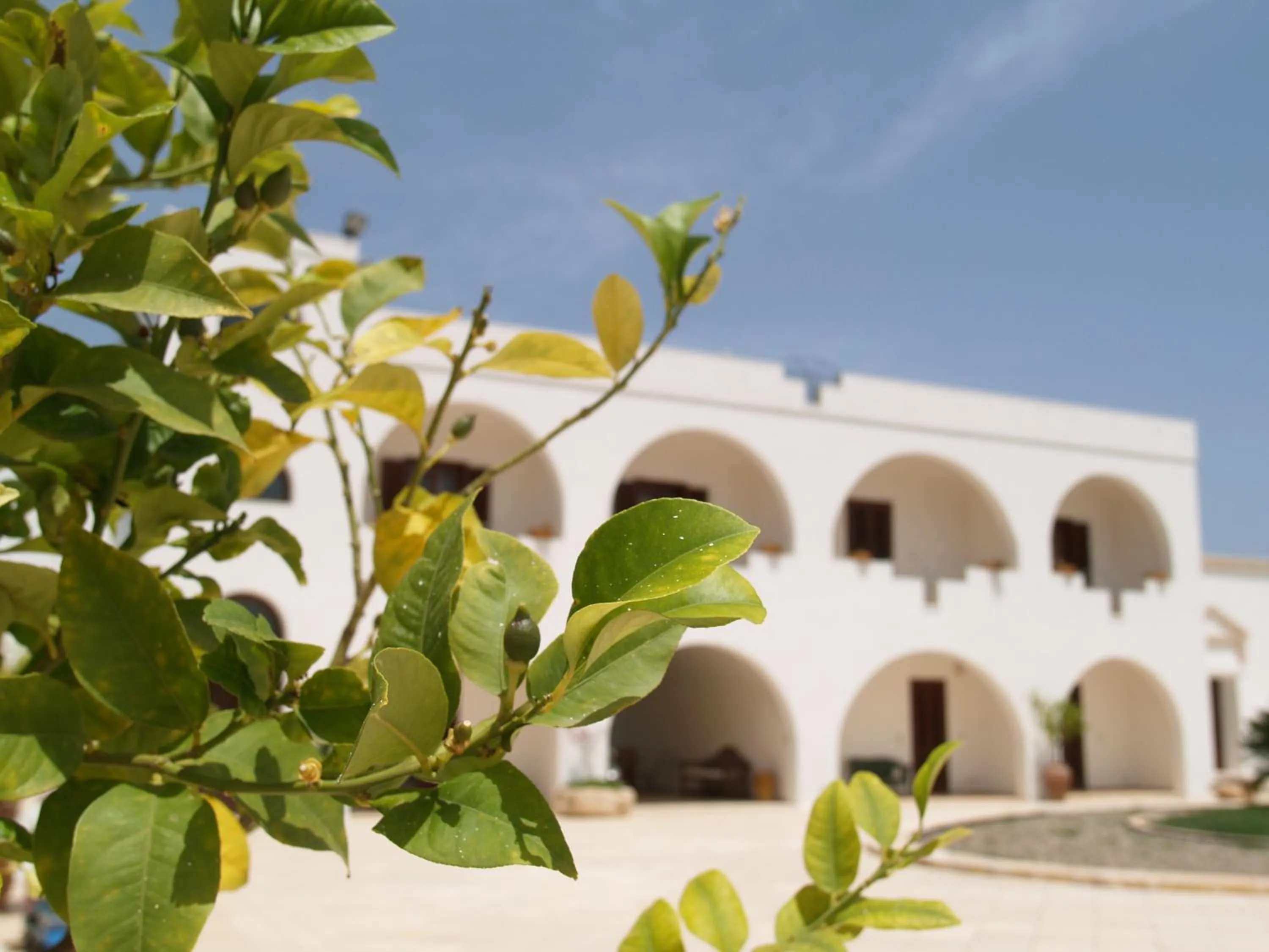 Patio in Hotel Masseria Tutosa