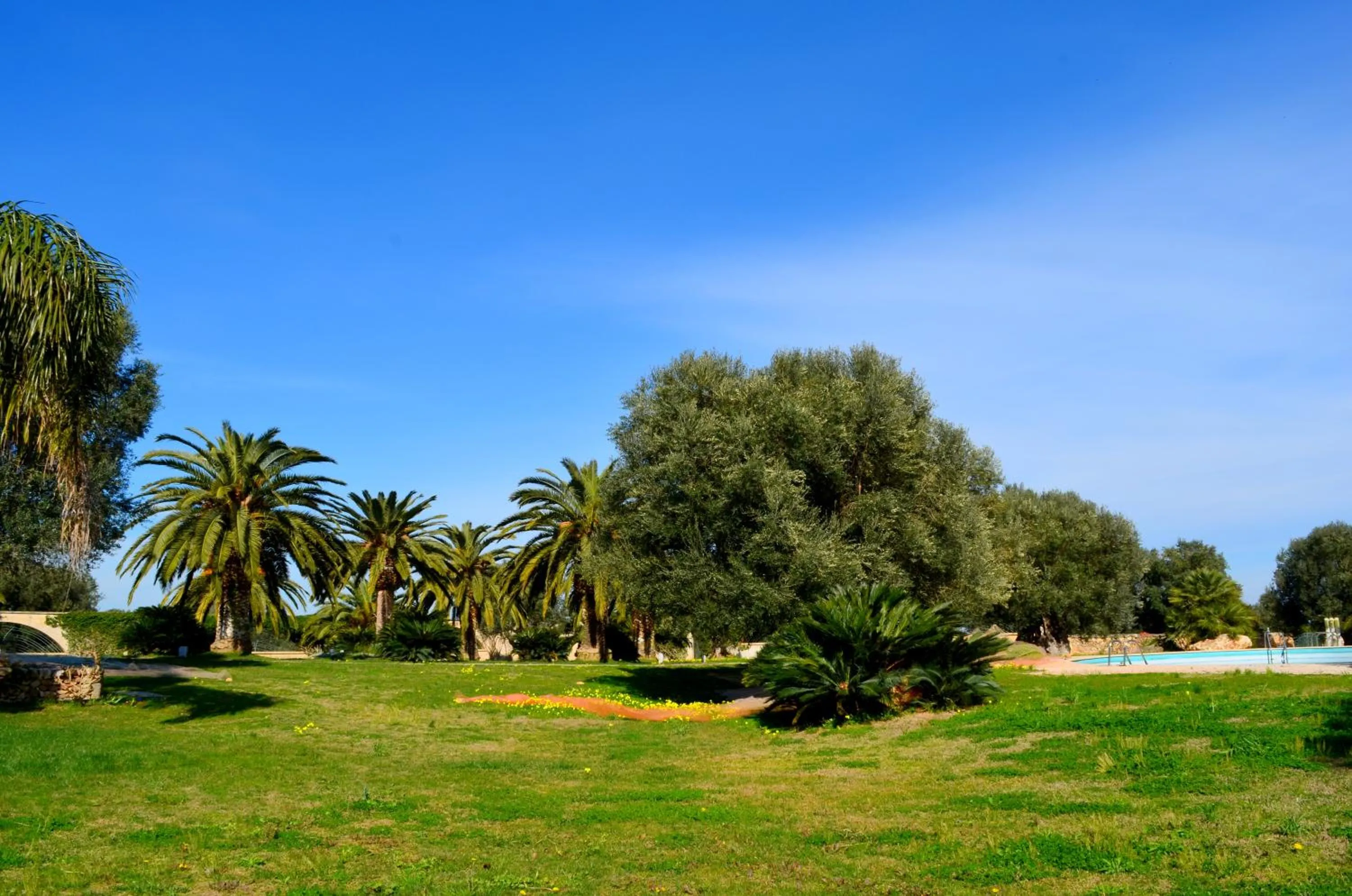 Garden view in Hotel Masseria Tutosa