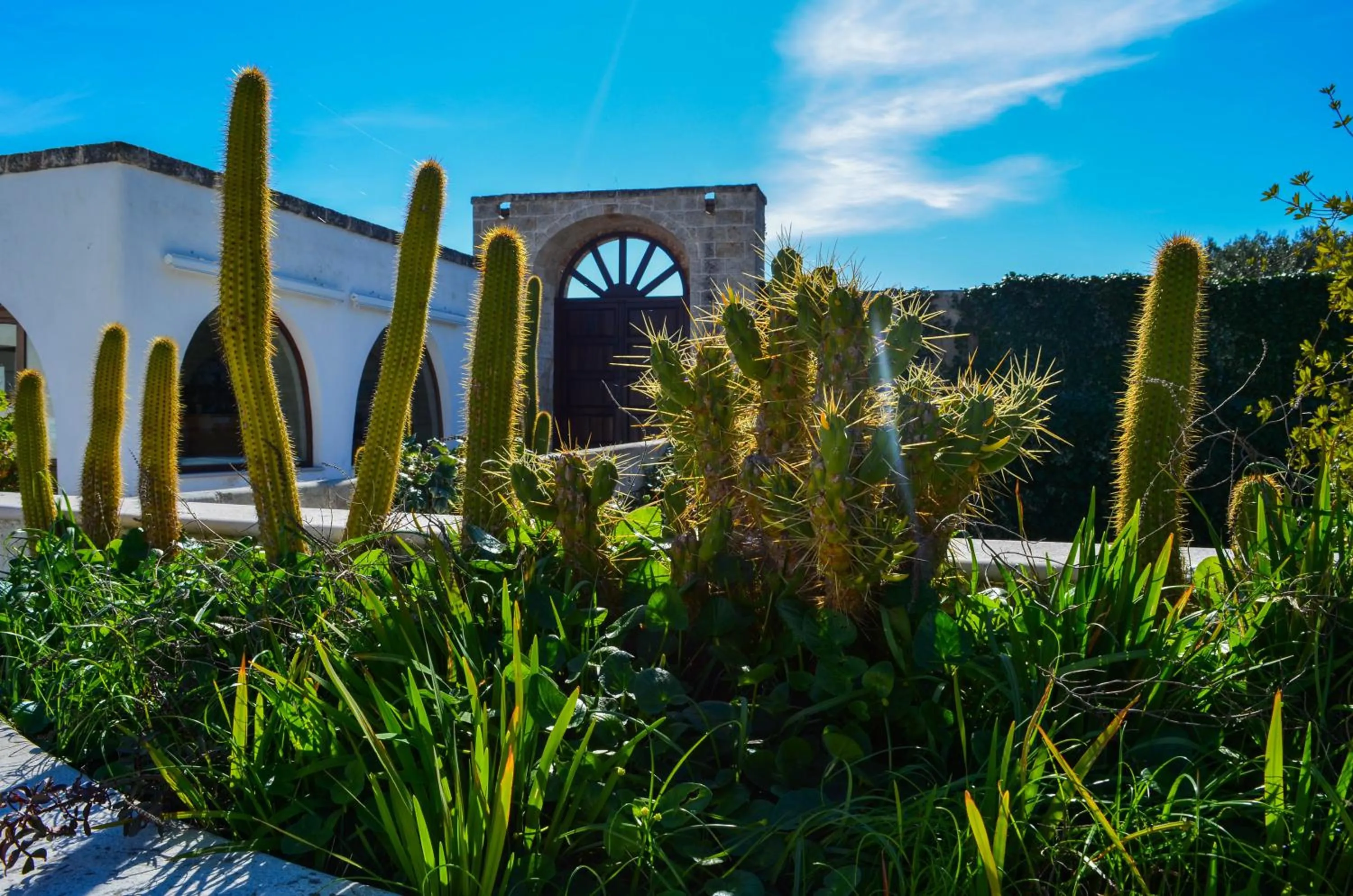 Facade/entrance in Hotel Masseria Tutosa