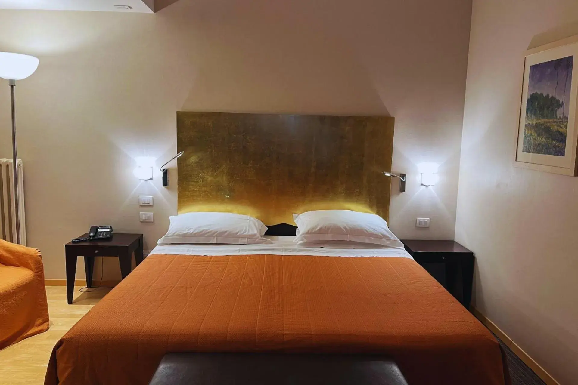 Double Room - single occupancy in Hotel delle Rose Terme & WellnesSpa Double Room - single occupancy in Hotel delle Rose Terme & WellnesSpa