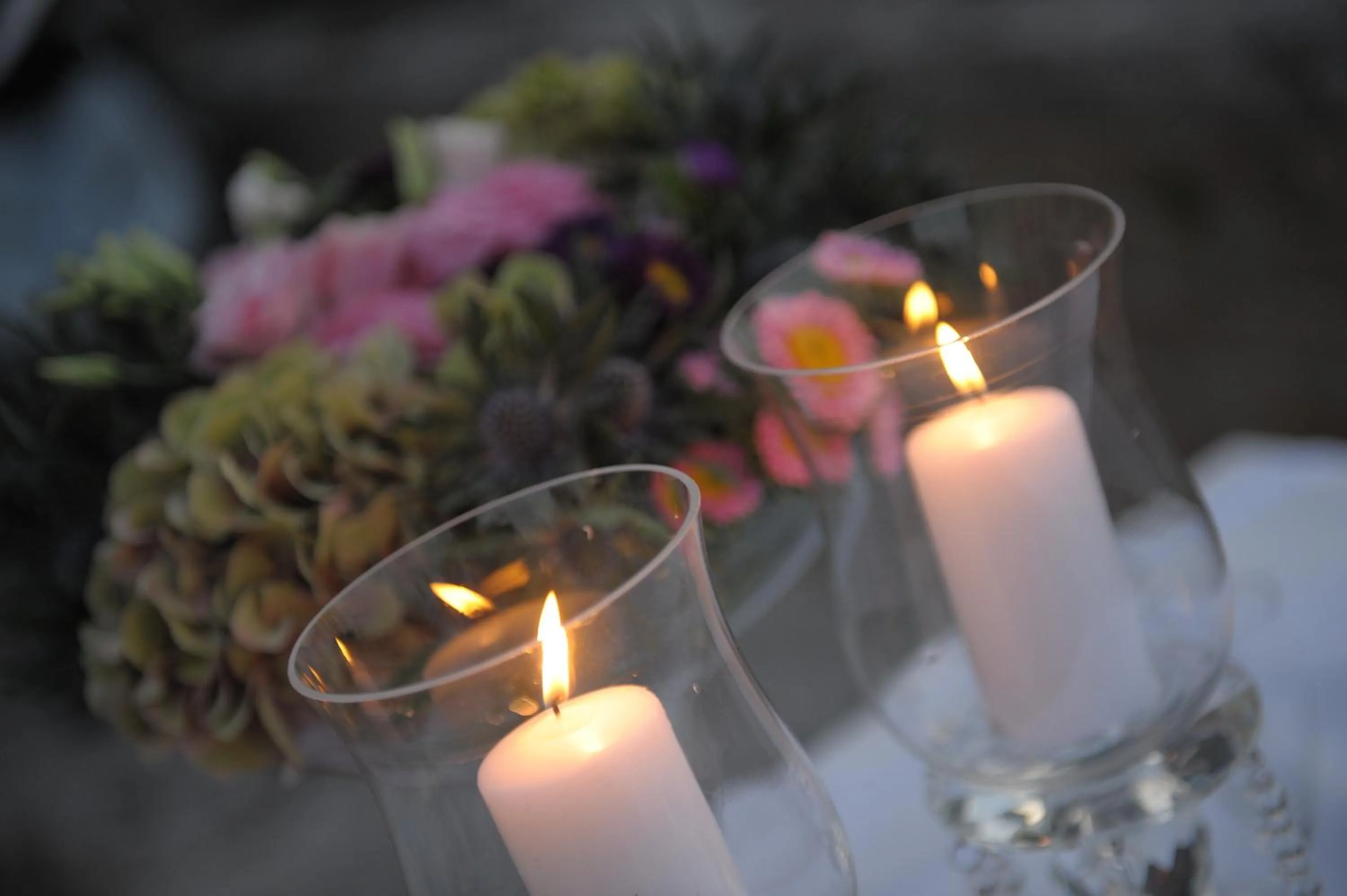 Area and facilities in Hotel Datini