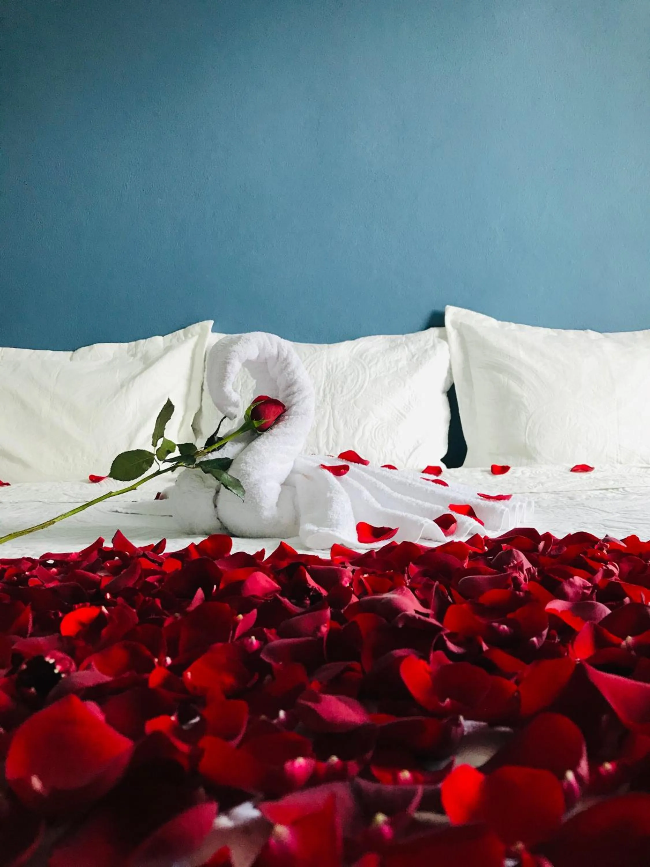 HOTEL GOL INN PLATINUM