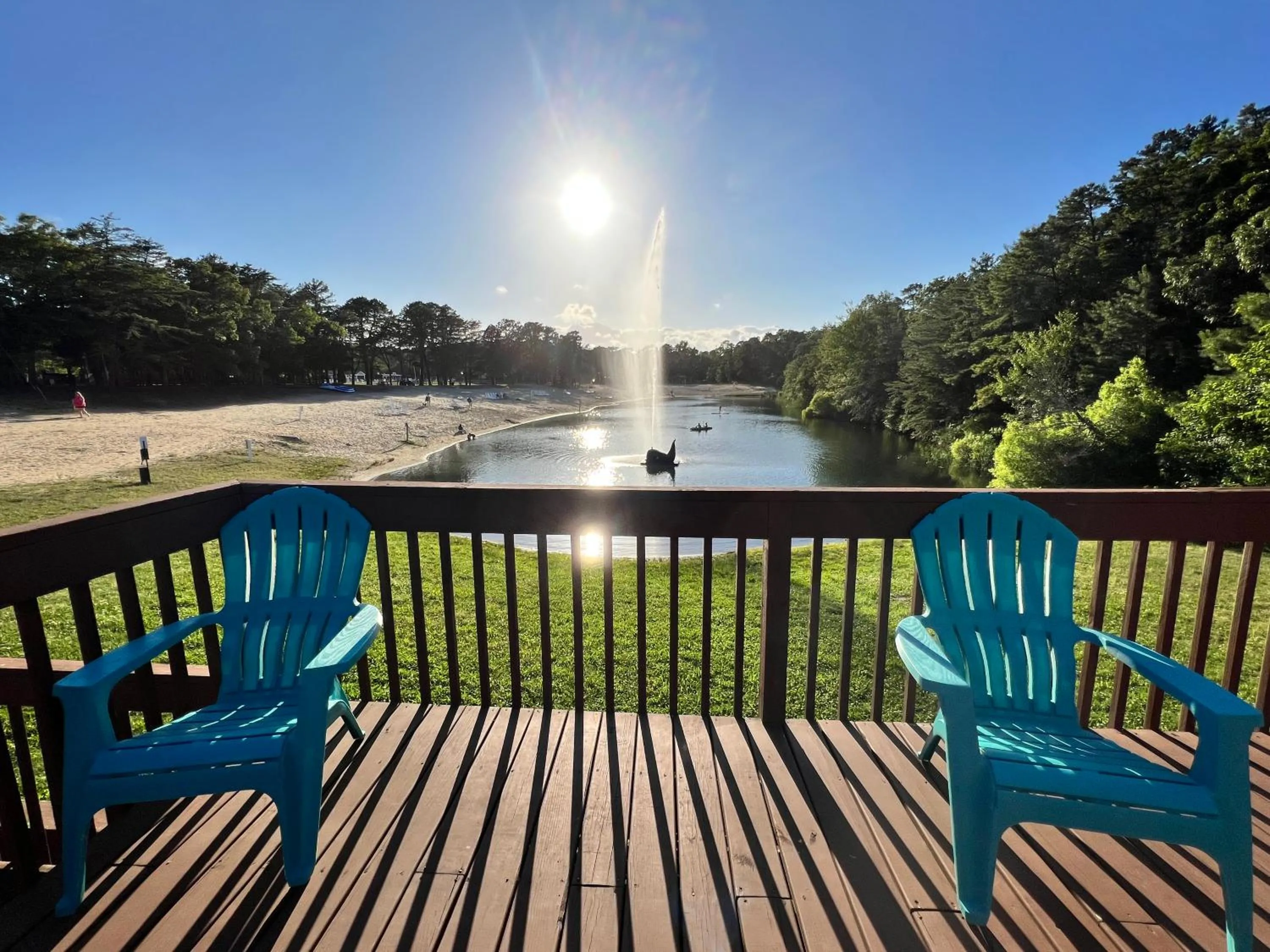 View (from property/room) in Pine Haven
