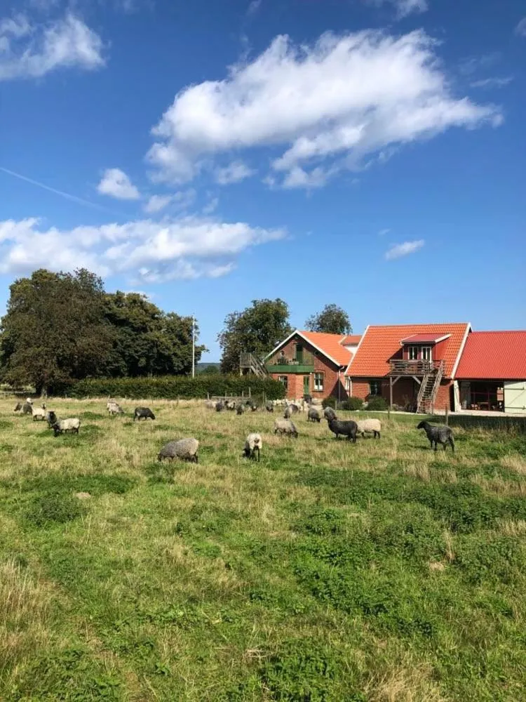 Garden in Farmors Lycka