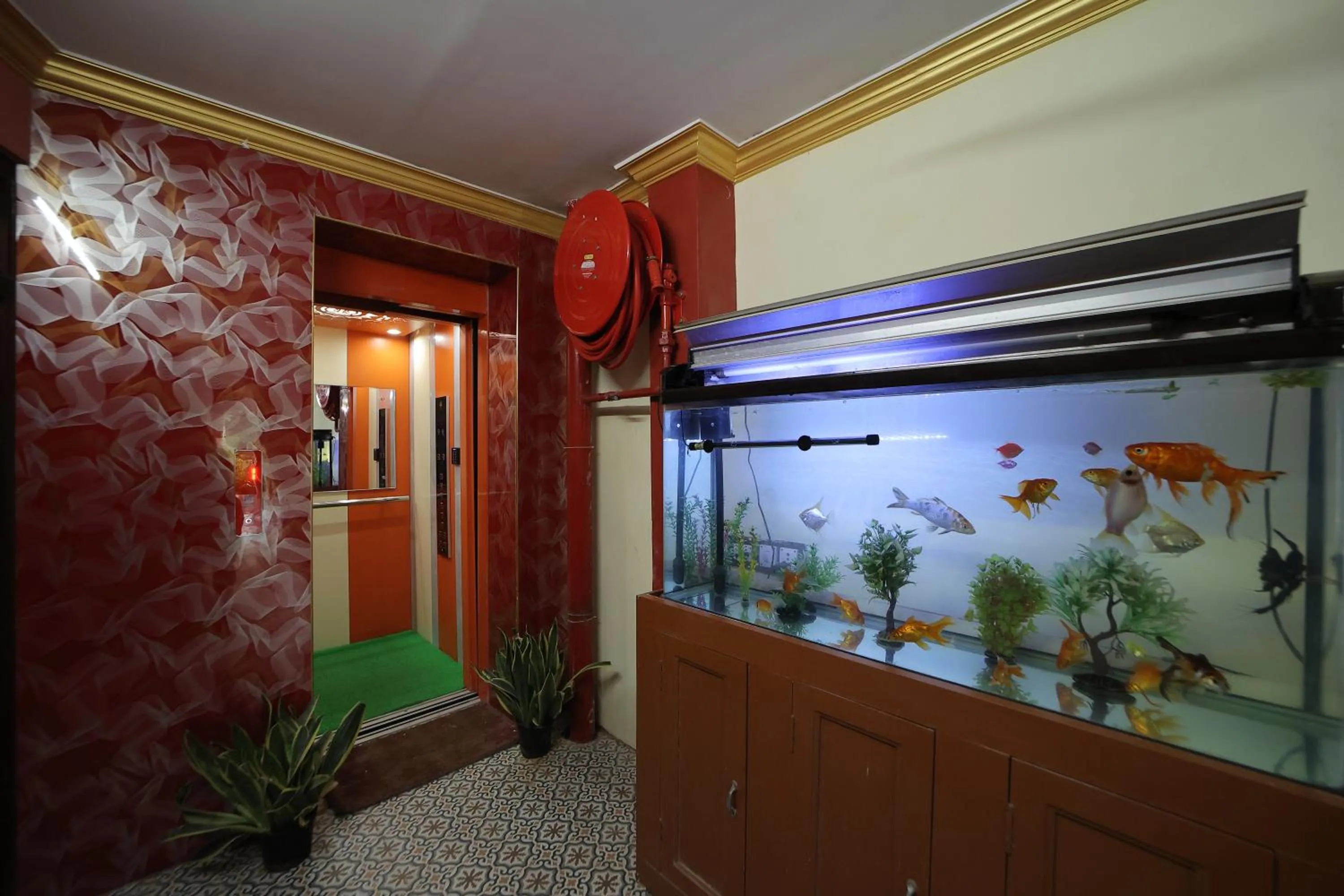 elevator in French Breeze Residency