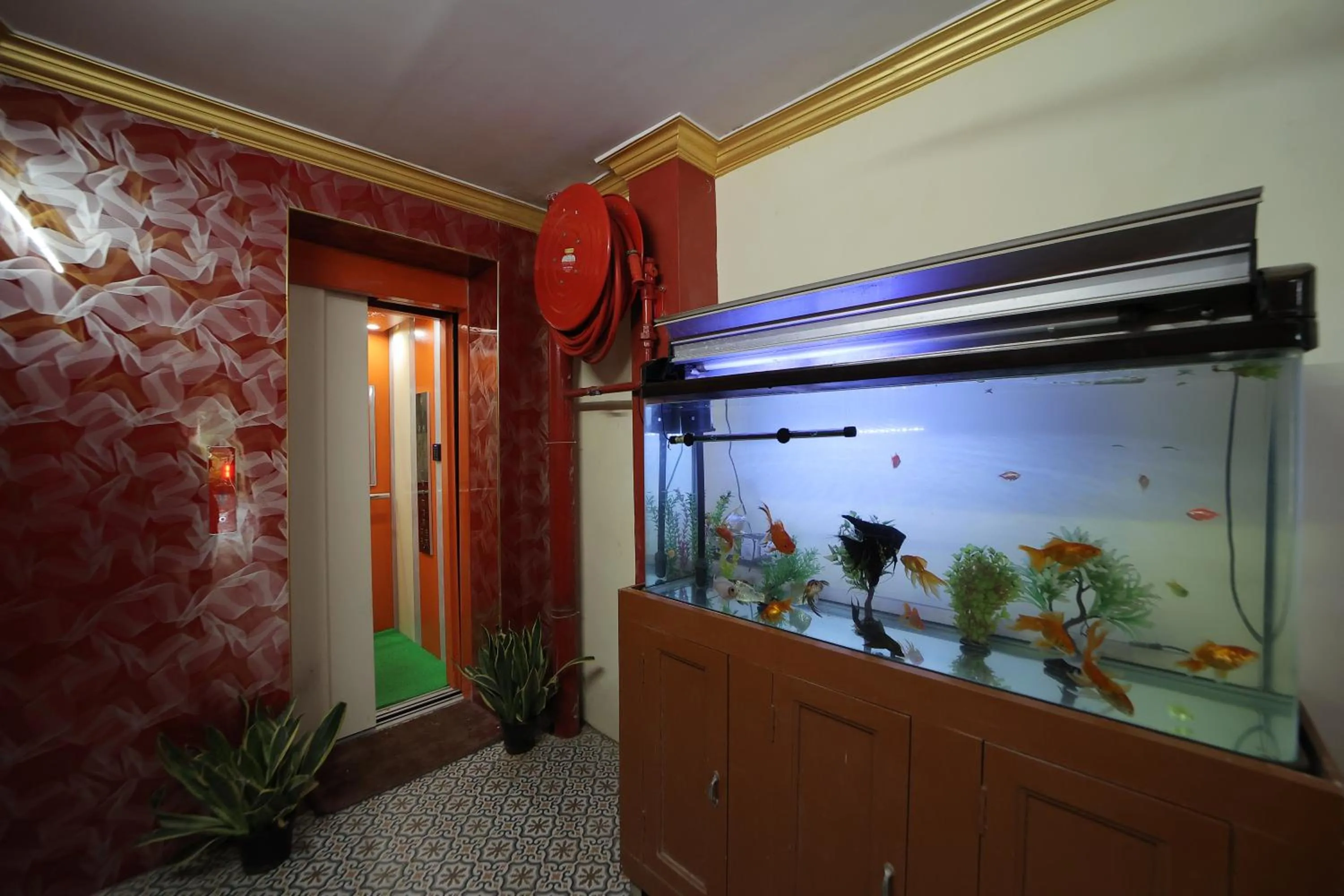 elevator in French Breeze Residency