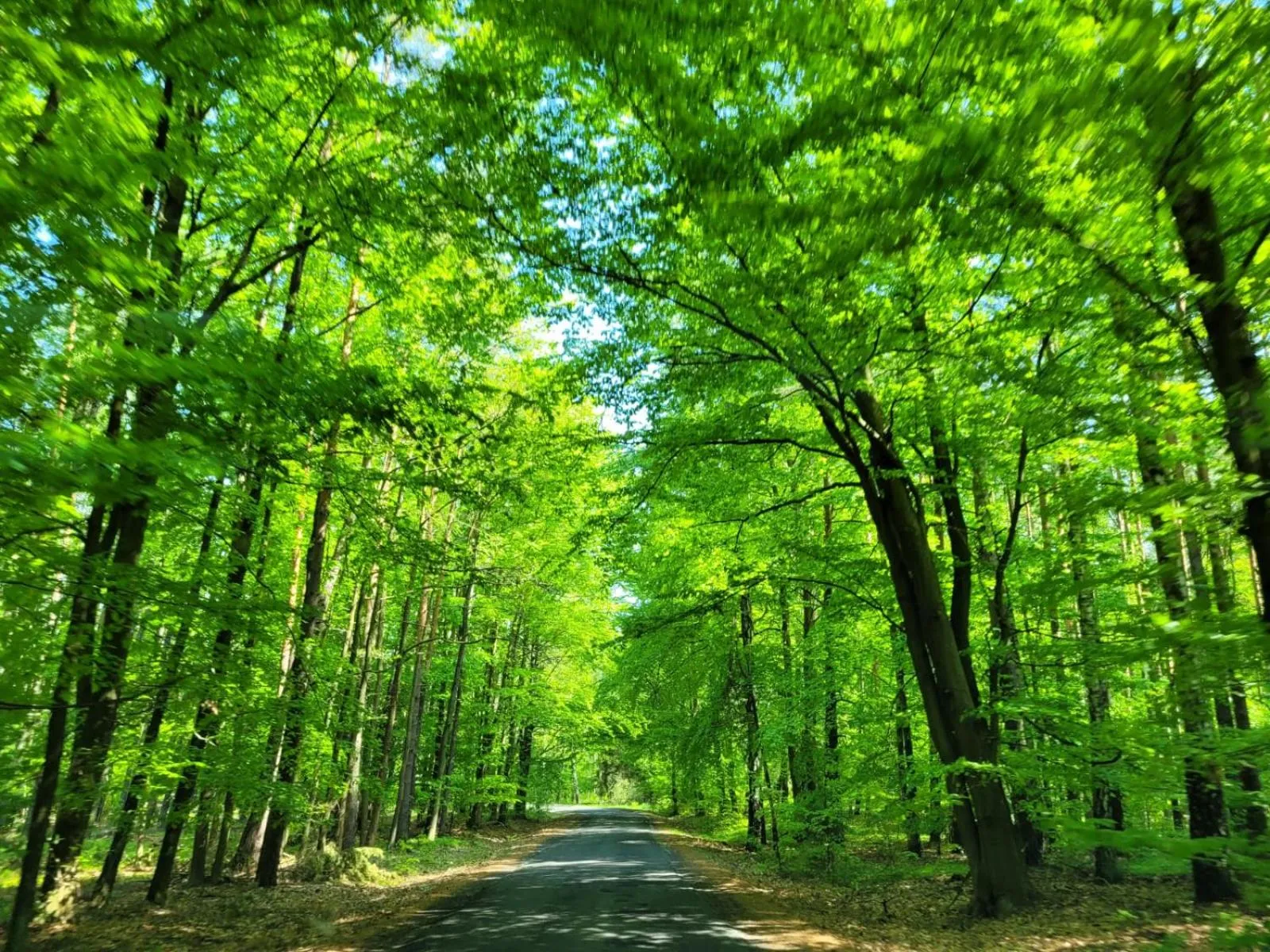 Neighbourhood in Good Sleep