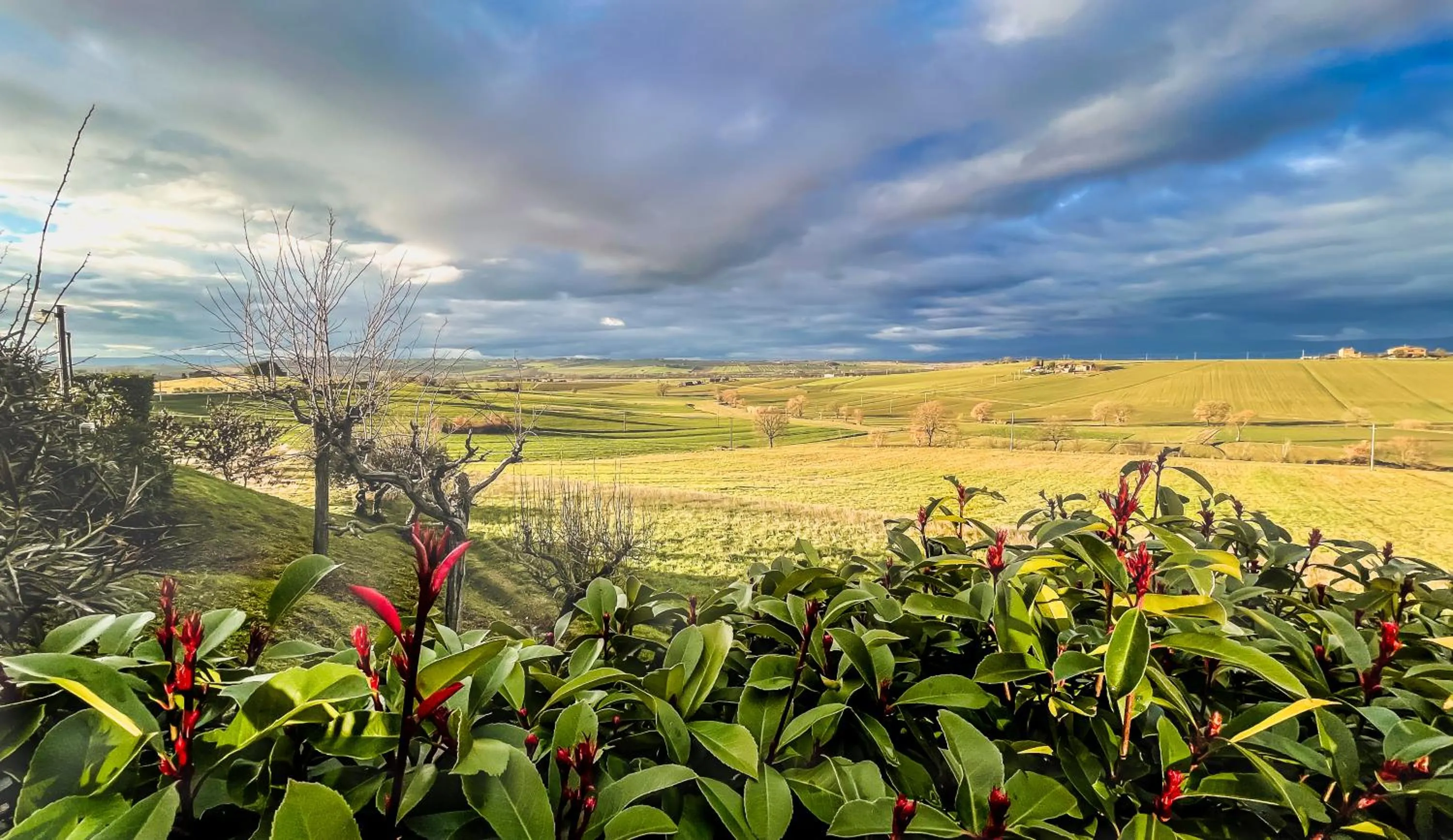 Natural landscape in Agriturismo Tenuta Badia