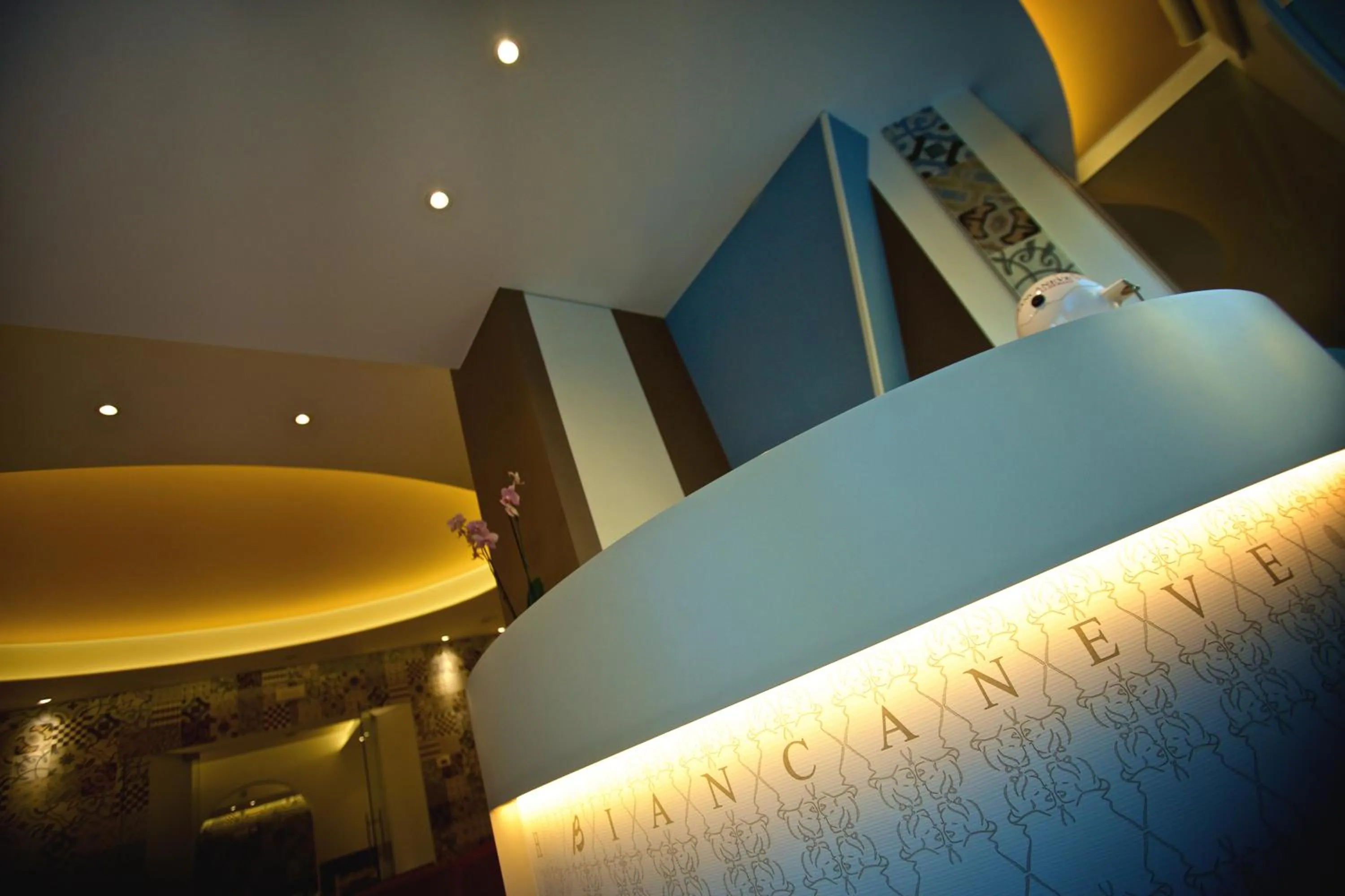 Lobby or reception in Hotel Biancaneve Wellness