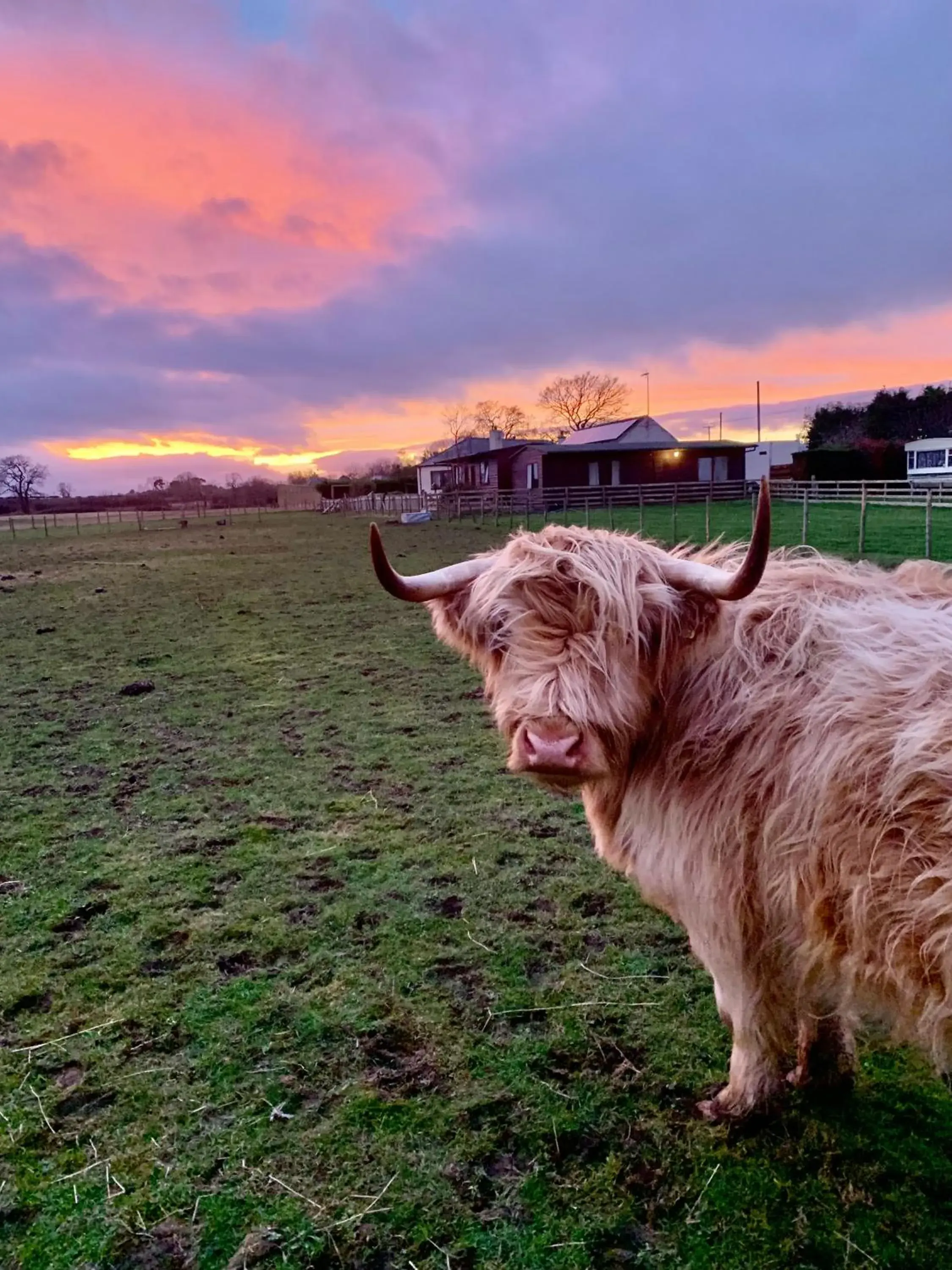 Studio with Garden View in Orchard House Lodges by Ecohuman Studio with Garden View in Orchard House Lodges by Ecohuman
