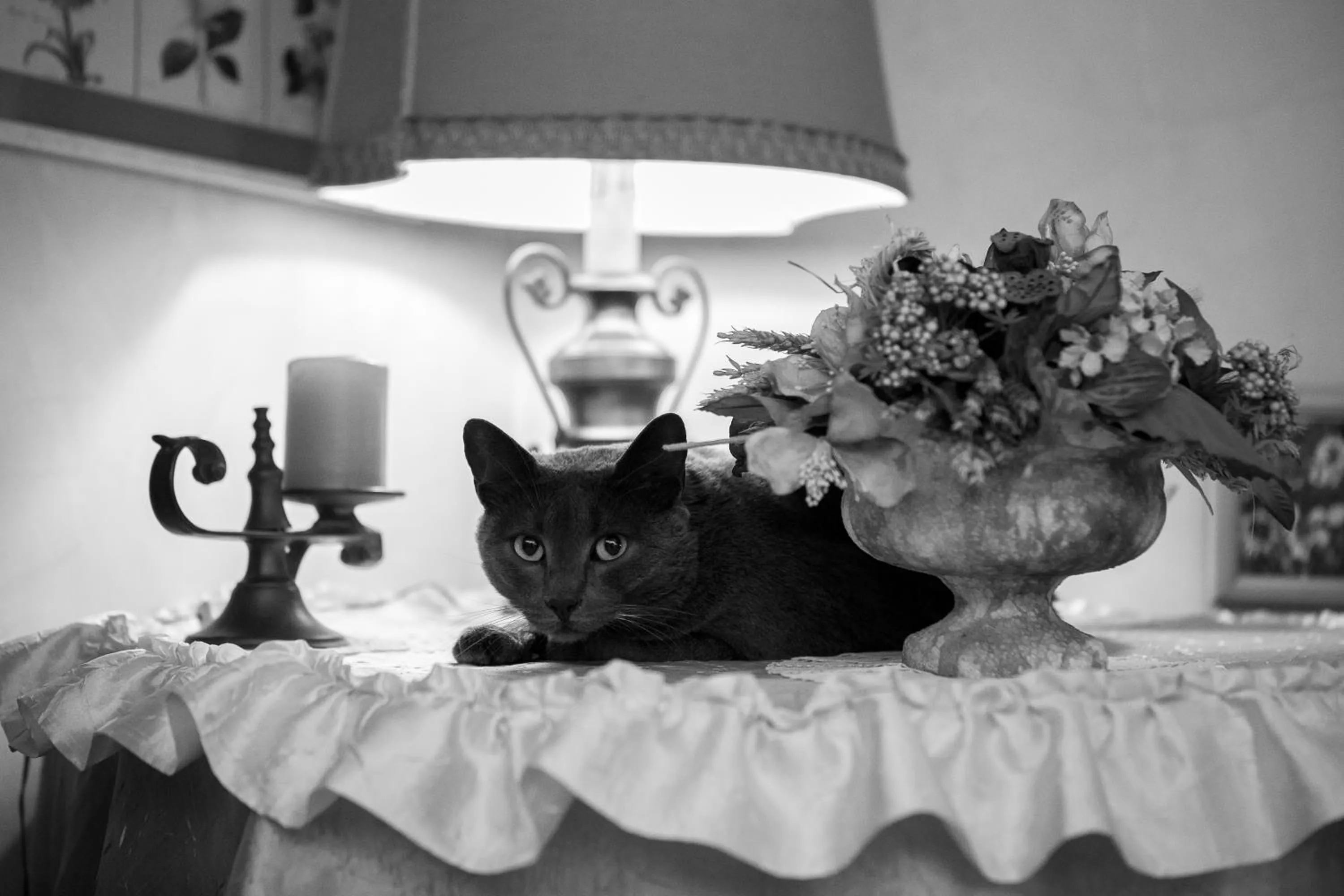 Lobby or reception in Hotel Alan