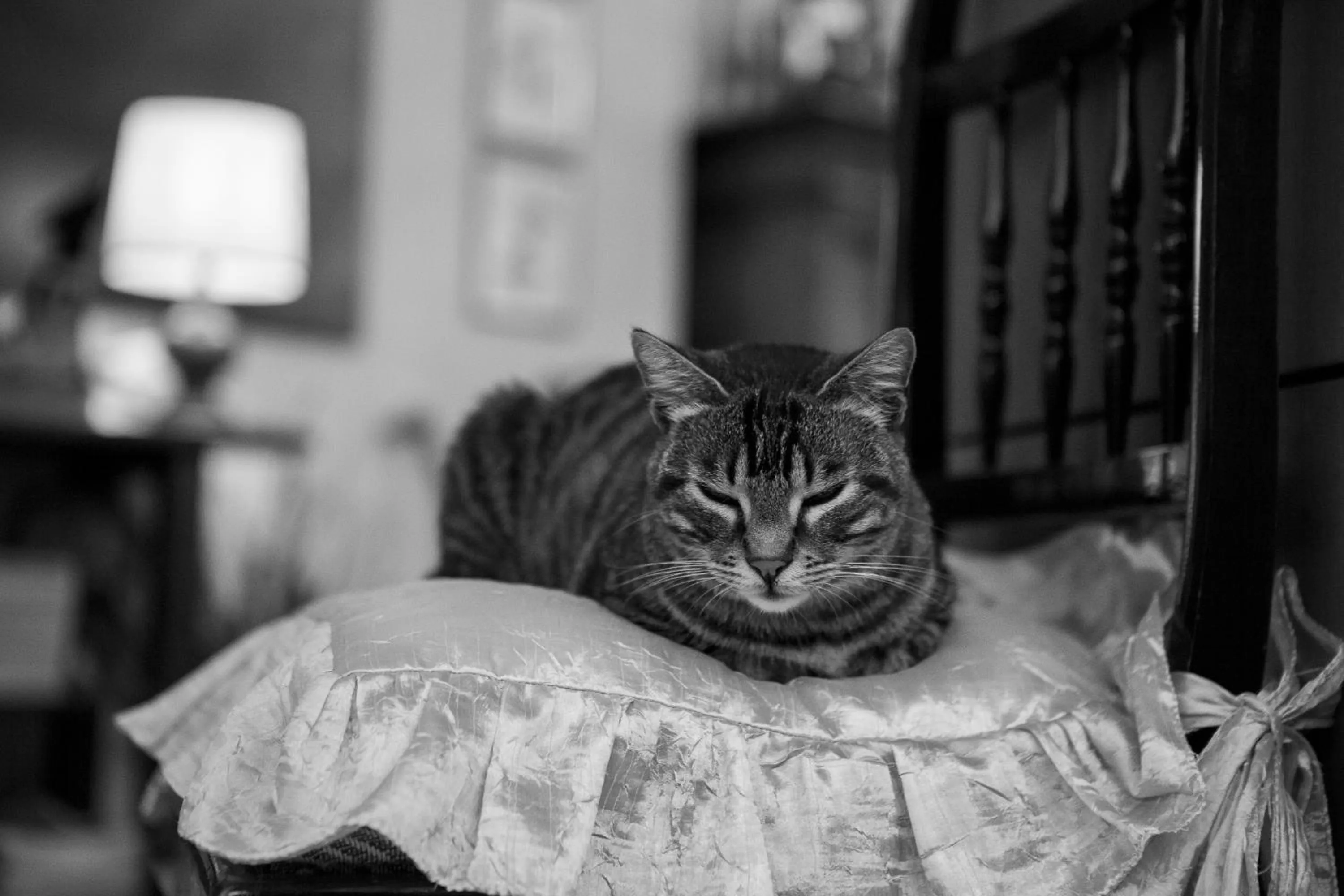 Lobby or reception in Hotel Alan