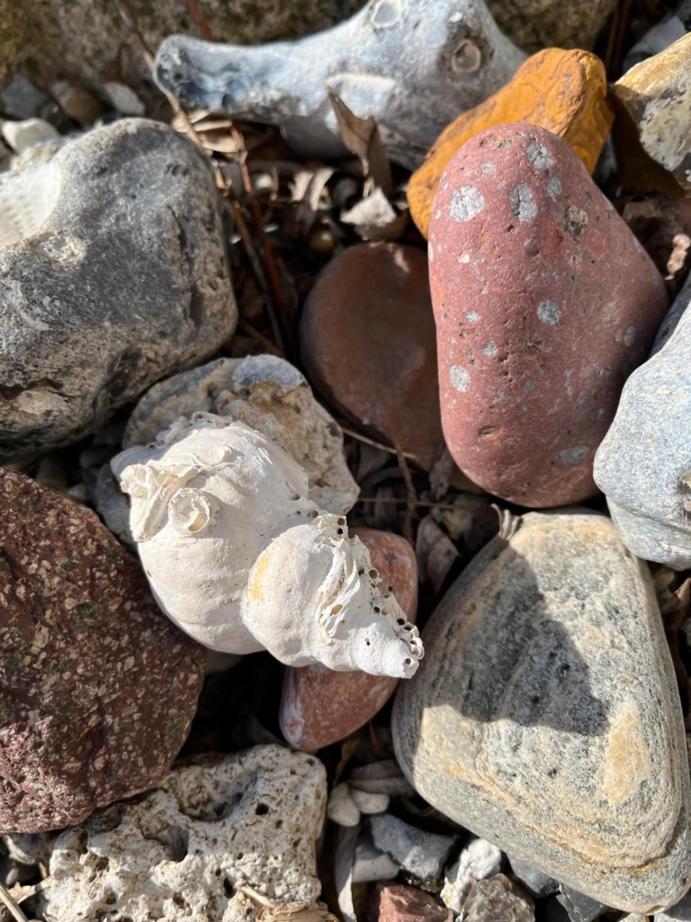 Spring in Apartment Ruhetgaard Bed & kitchen