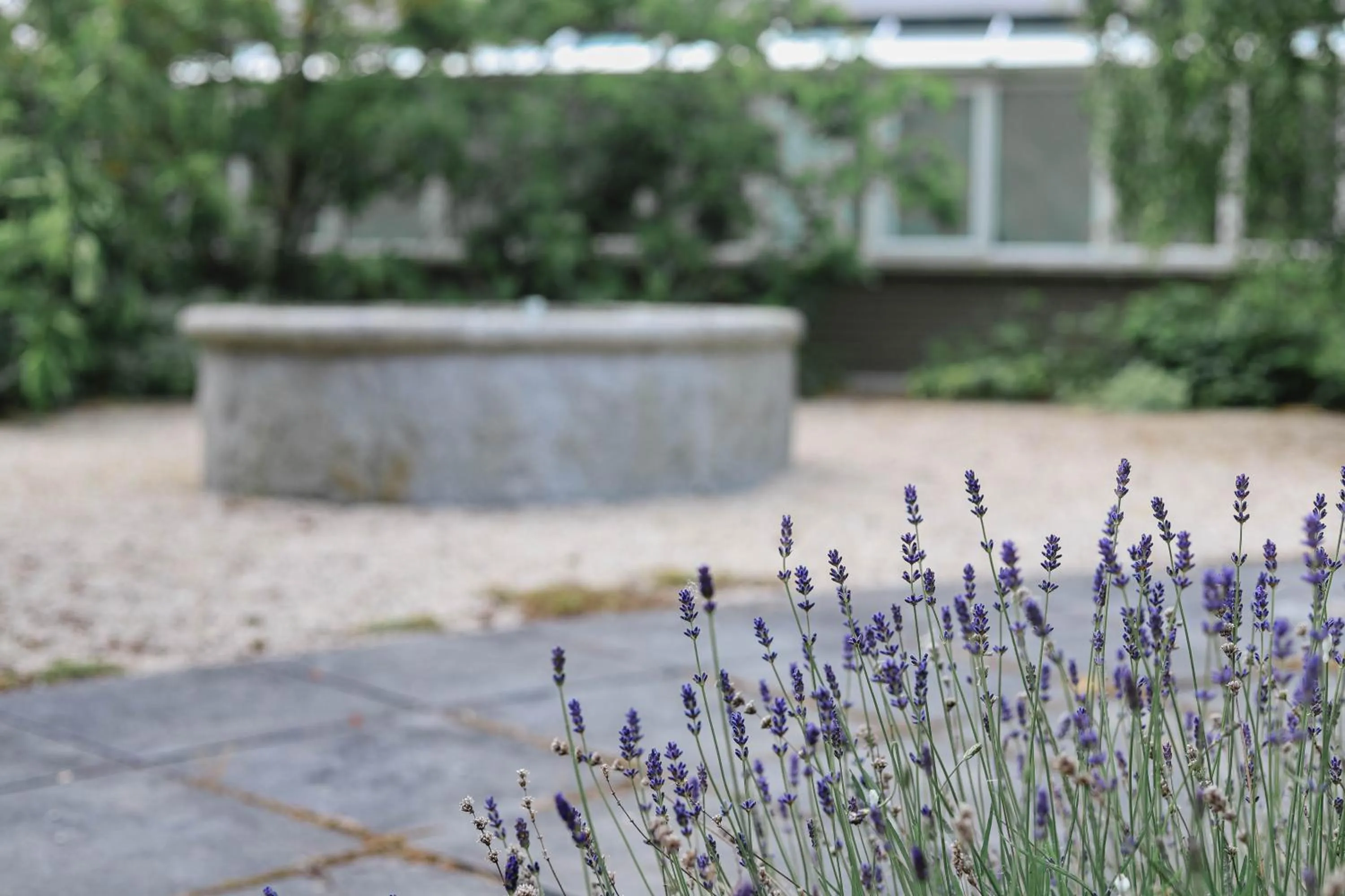 Garden view in Powerscourt Springs Health Farm
