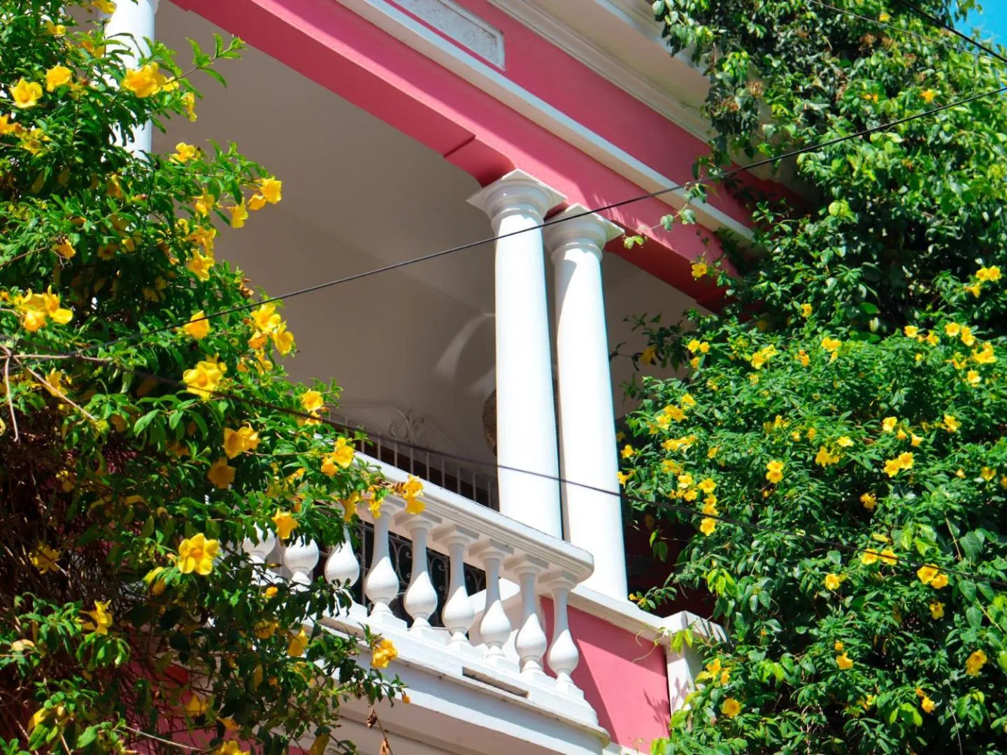 Property building in Casa Rosa - Alma Hotels