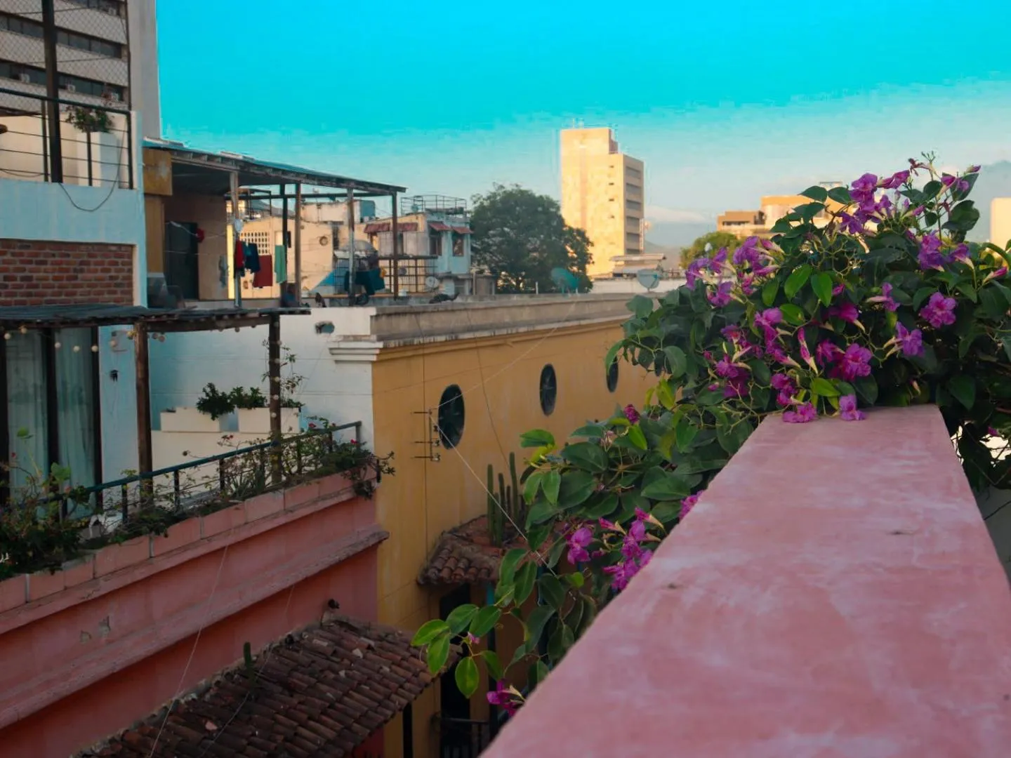 City view in Casa Rosa - Alma Hotels