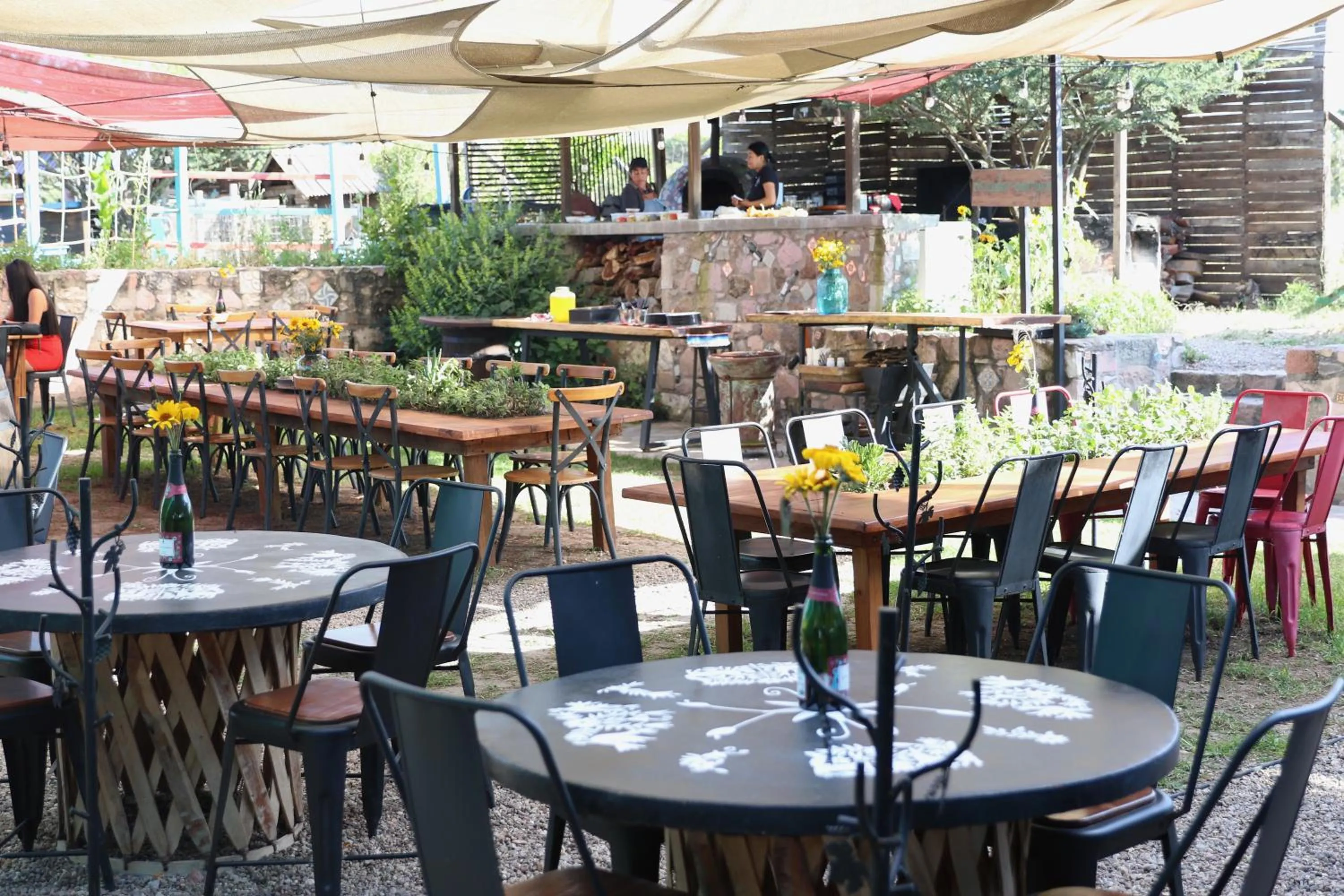 Casa Pavo Real en el Viñedo El Pavo Real del Campo