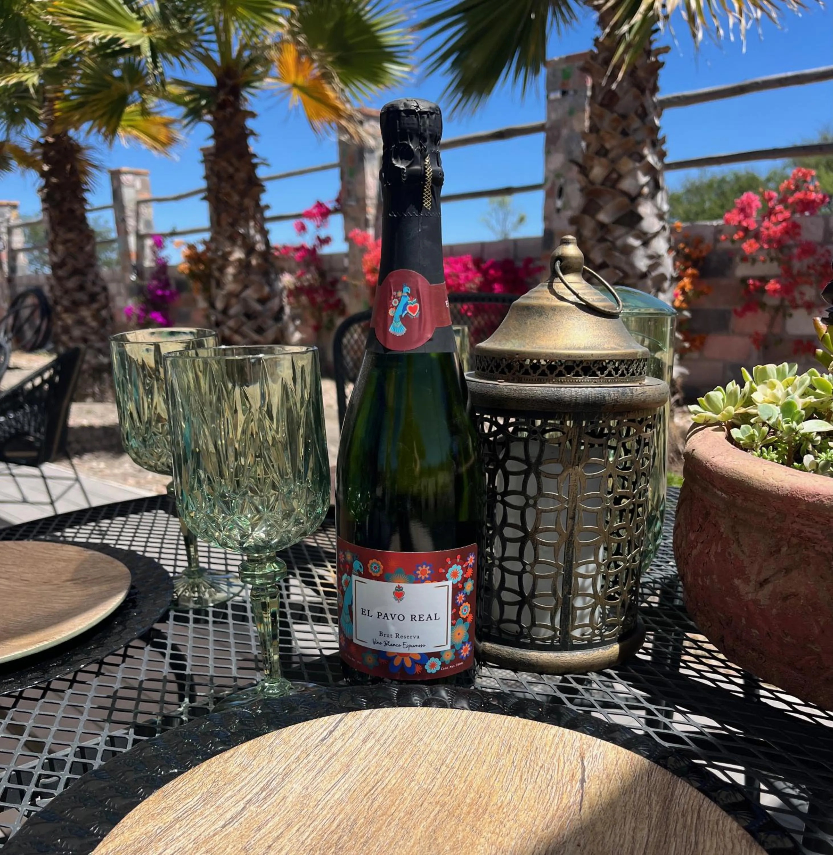 Casa Pavo Real en el Viñedo El Pavo Real del Campo