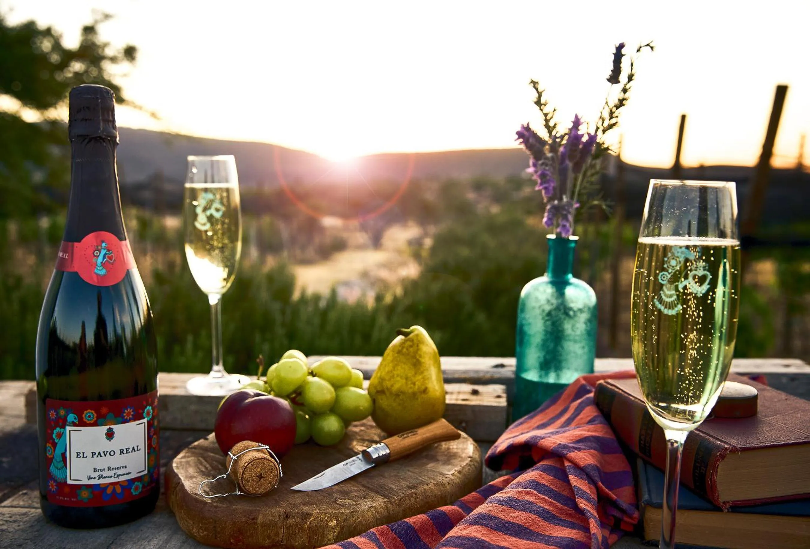 Casa Pavo Real en el Viñedo El Pavo Real del Campo