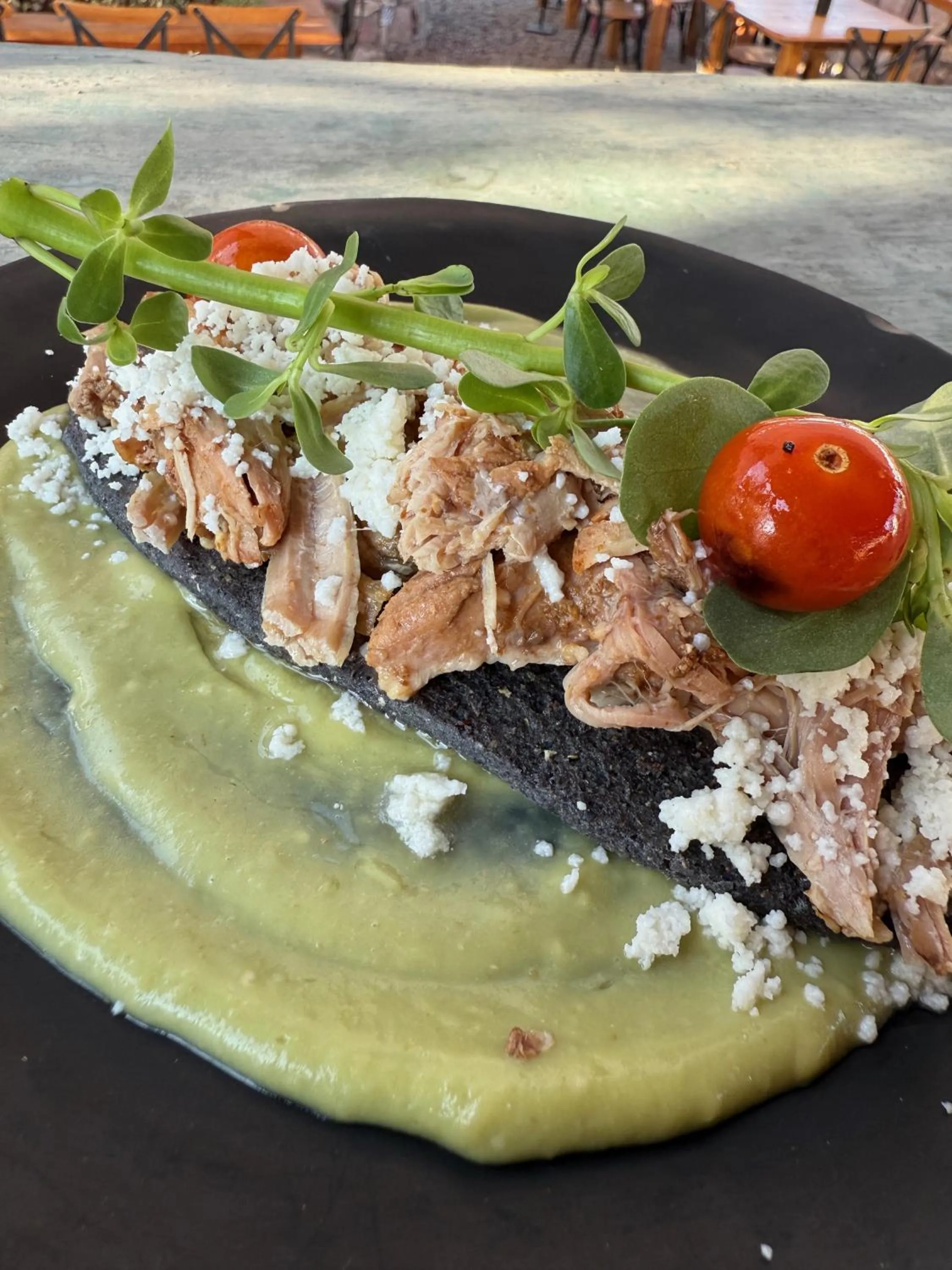 Casa Pavo Real en el Viñedo El Pavo Real del Campo