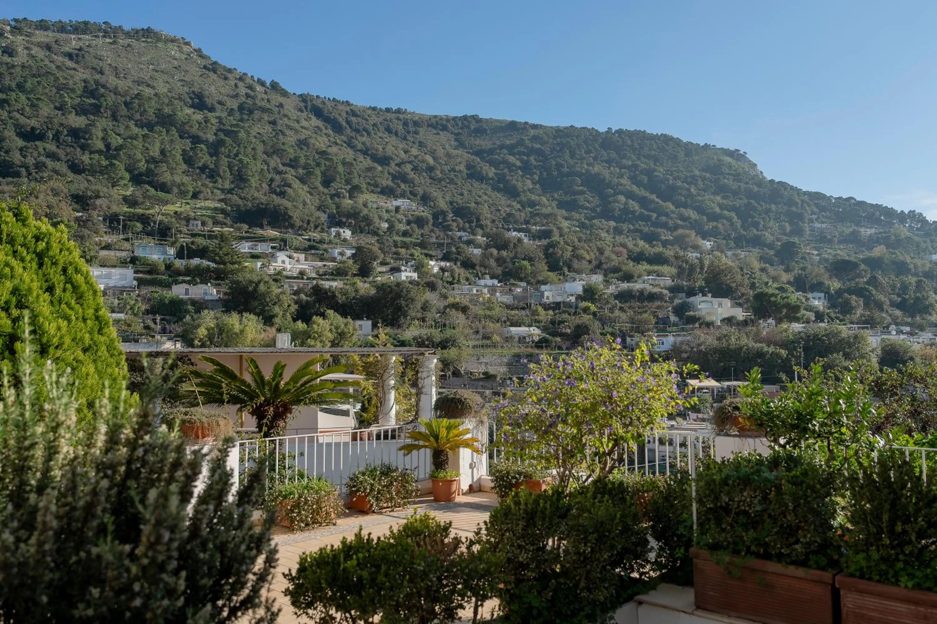 Natural landscape in Hotel Senaria