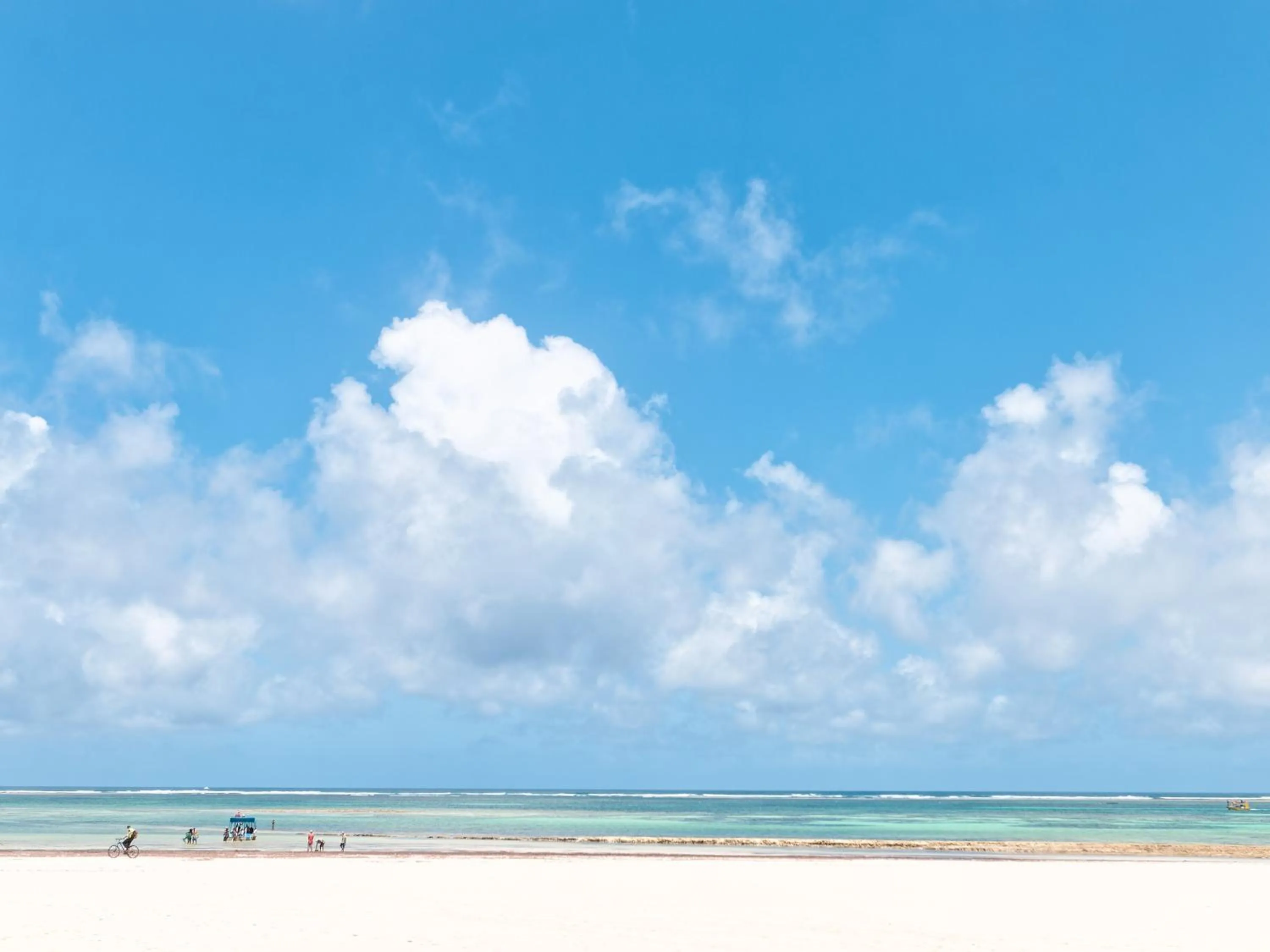 Natural landscape in Safari Beach Hotel
