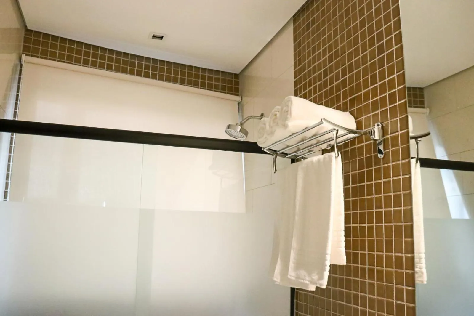 Shower in Porto das Asas Park Hotel