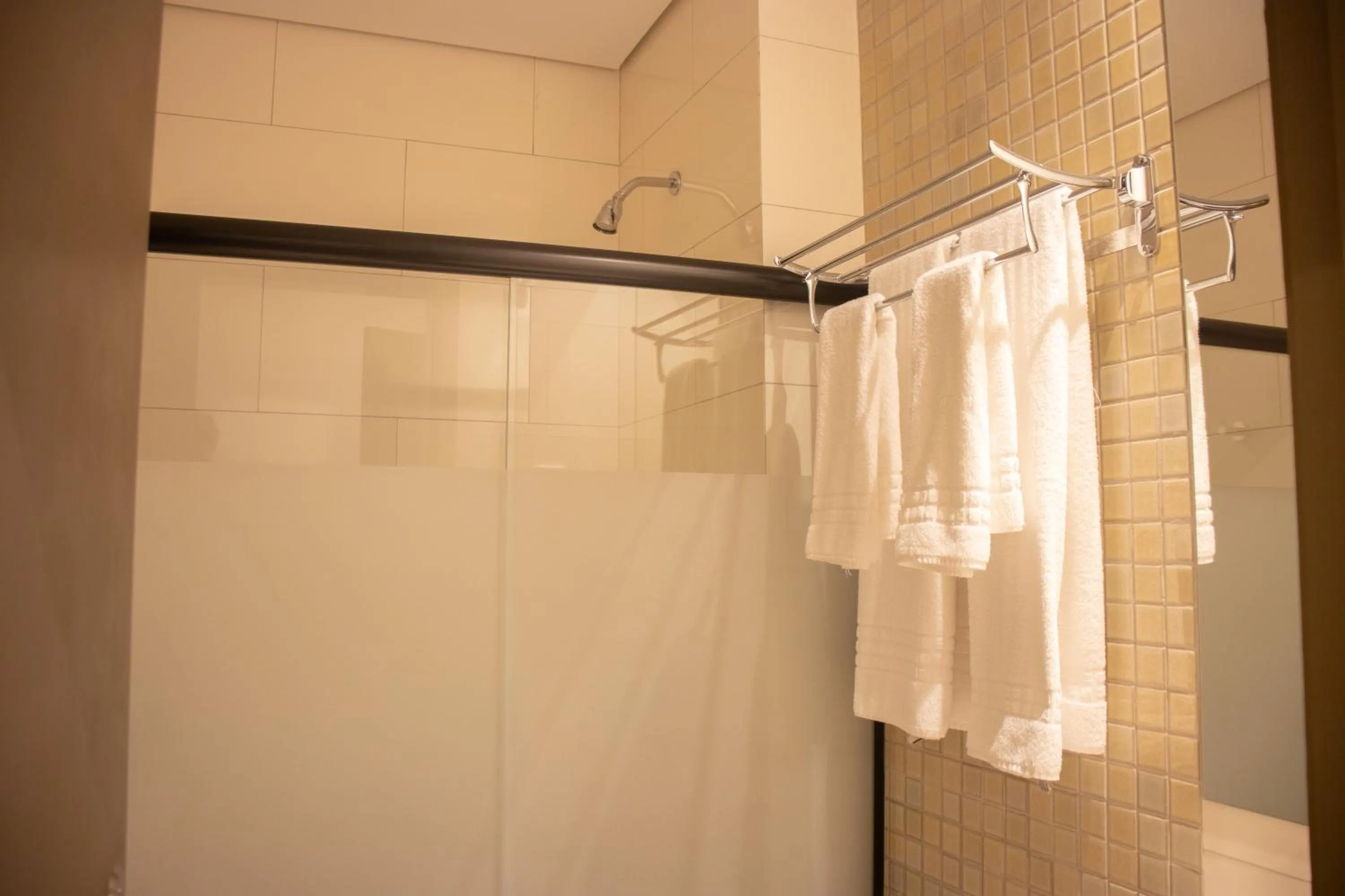 Shower in Porto das Asas Park Hotel