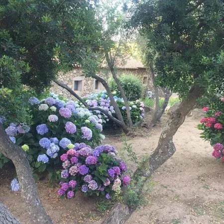Garden in Hotel Valkarana Country Relais