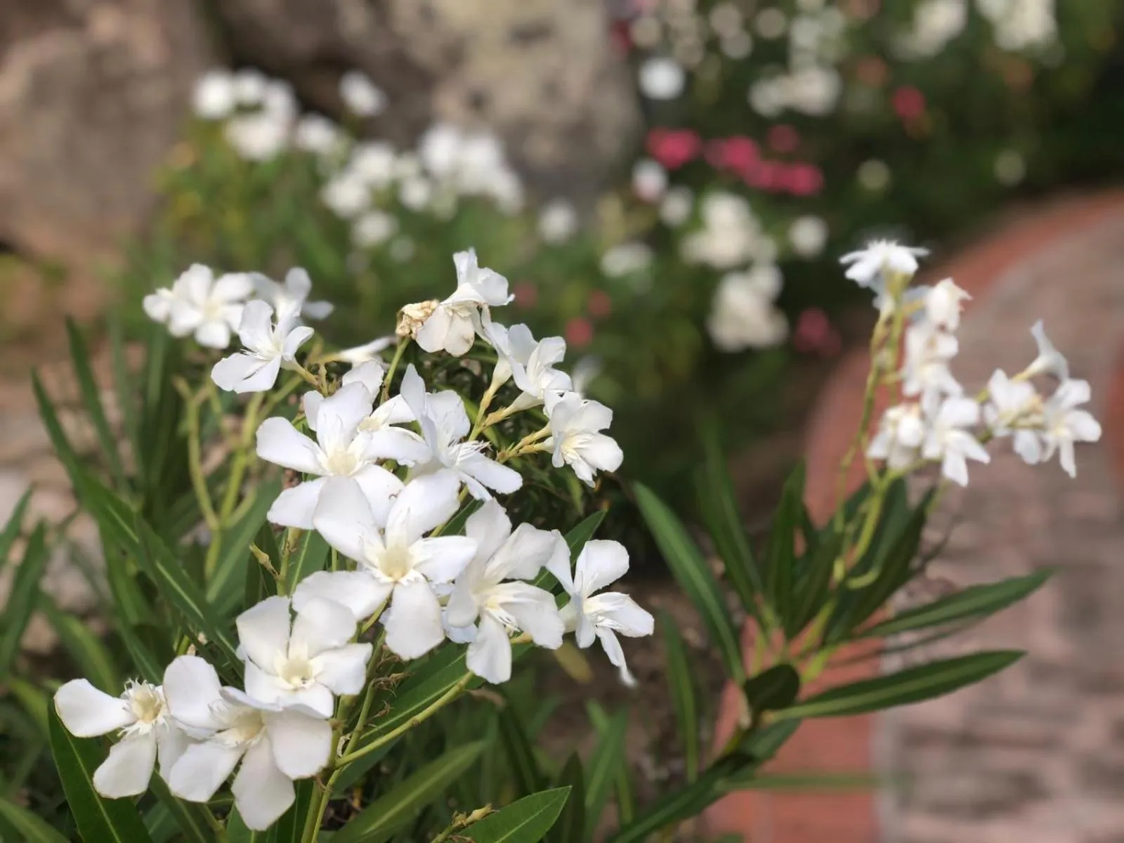 Property building in Hotel Valkarana Country Relais