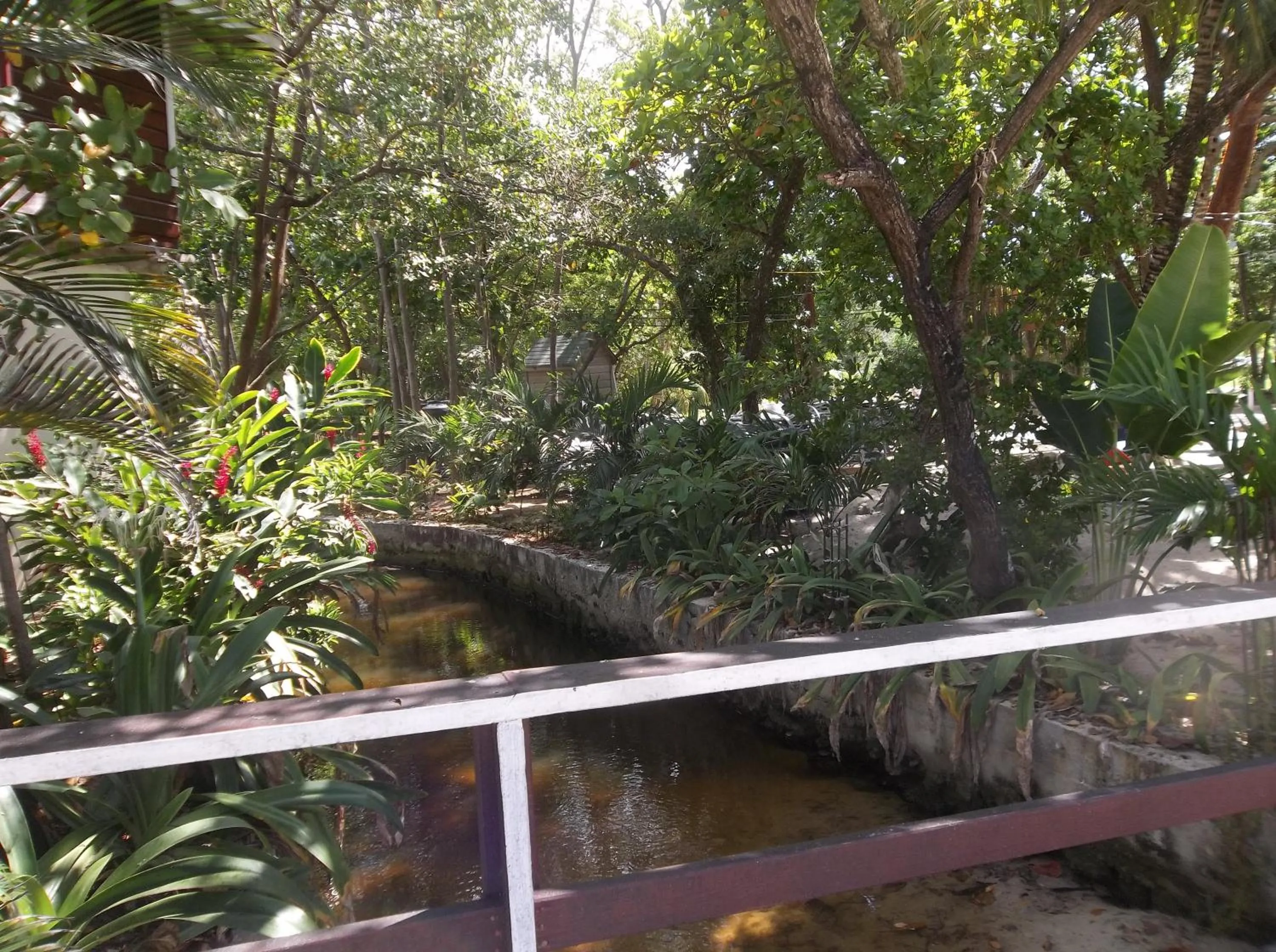 Garden in Fosters West Bay Resort